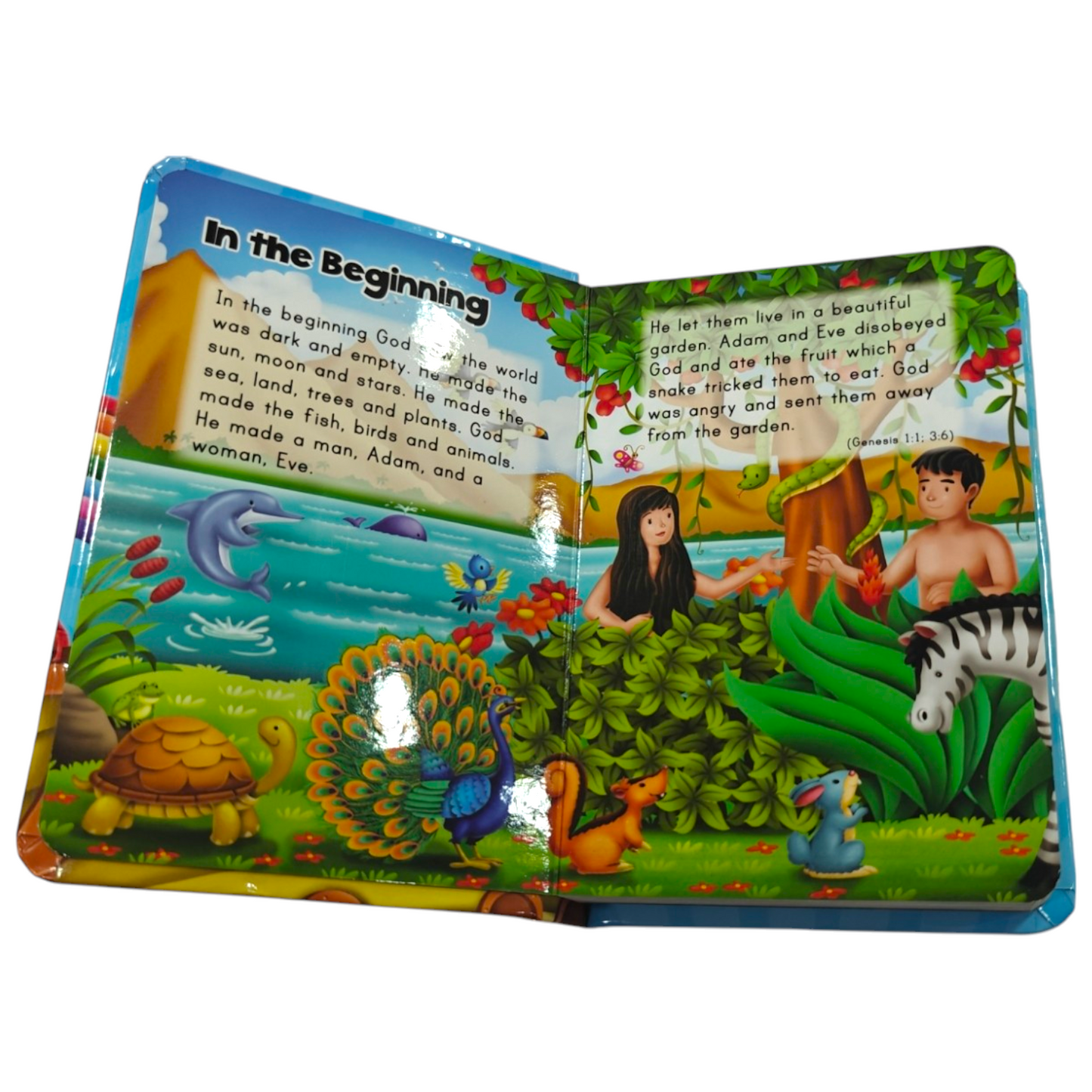 My Carry-Along Bible Boardbook