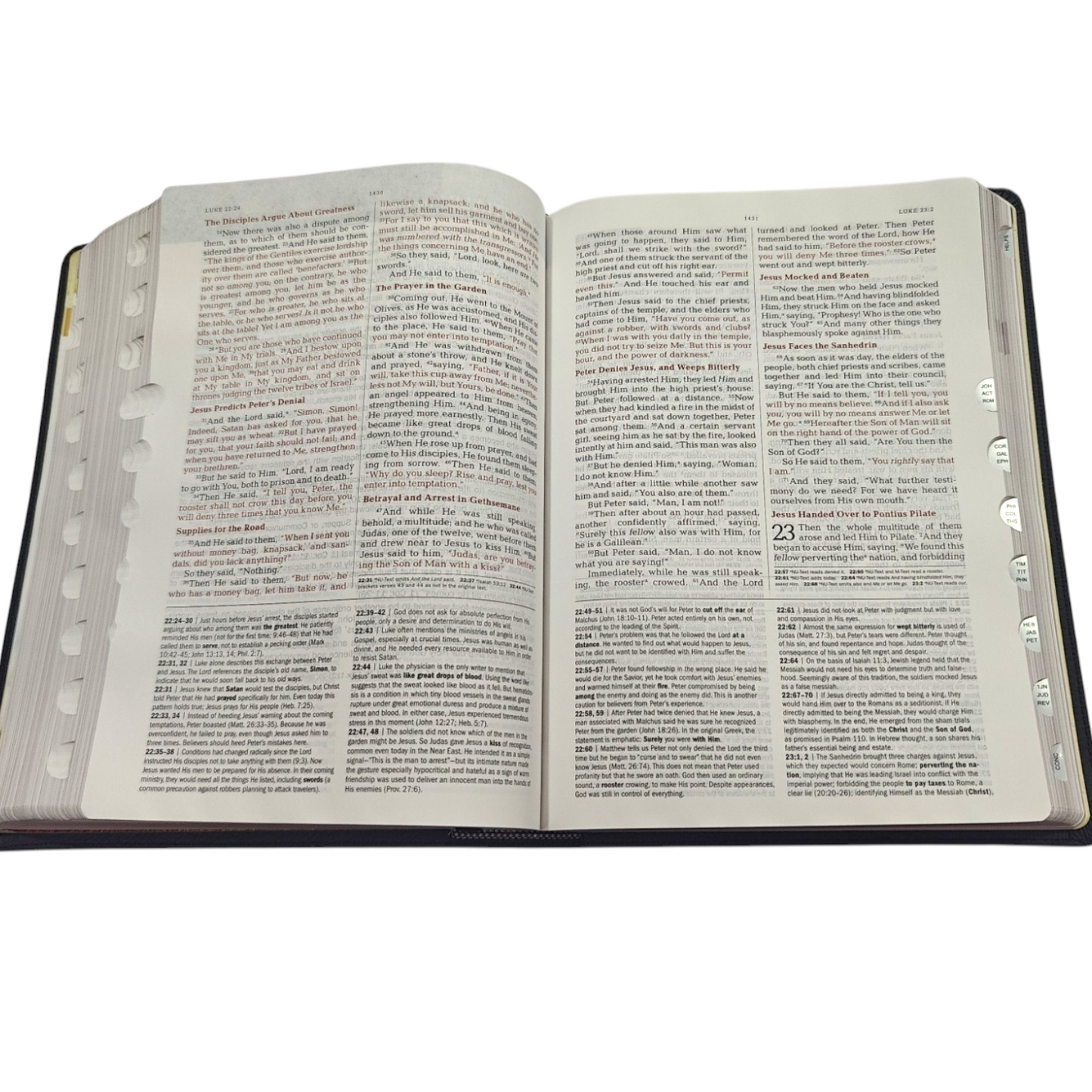 The Jeremiah Study Bible NKJV Jacketed Hardcover