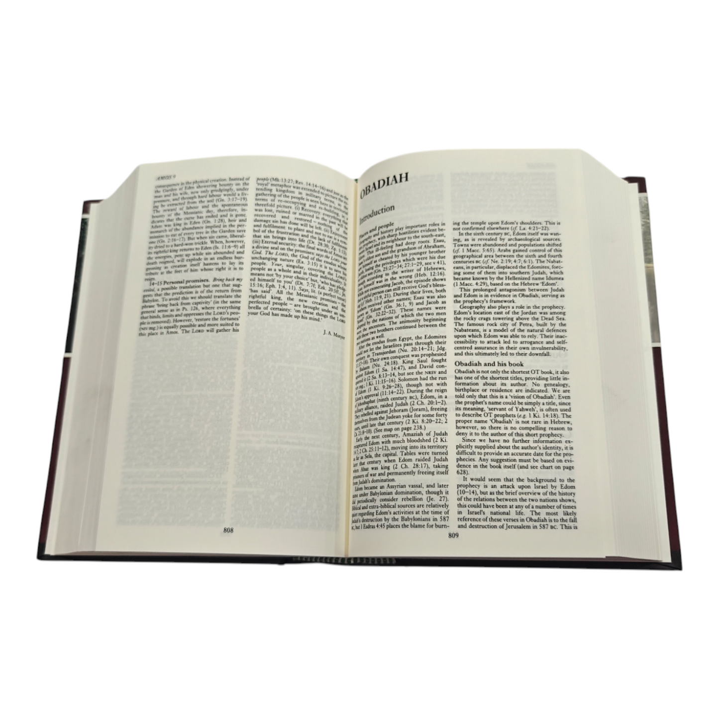 New Bible Commentary 21st Century Edition