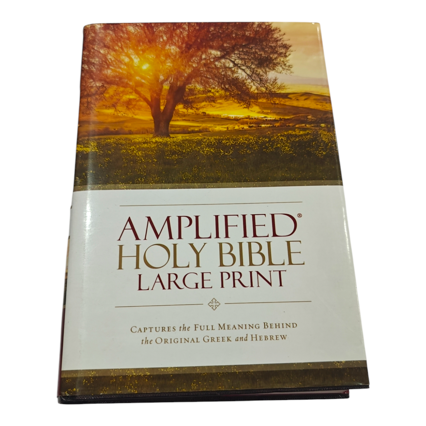 Amplified Bible (AMP) Large Print Brown Bible for Study and Devotion