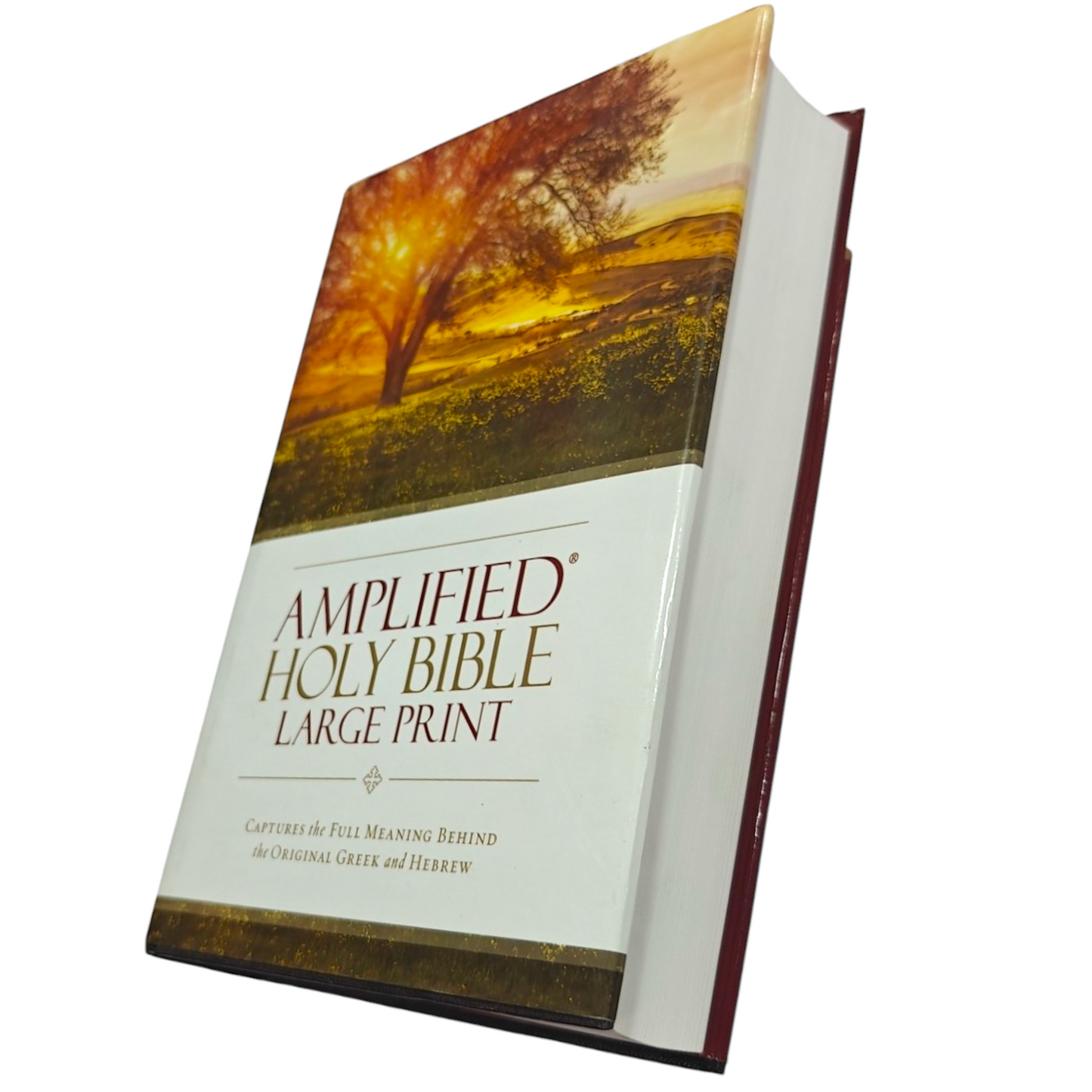 Amplified Bible (AMP) Large Print Brown Bible for Study and Devotion