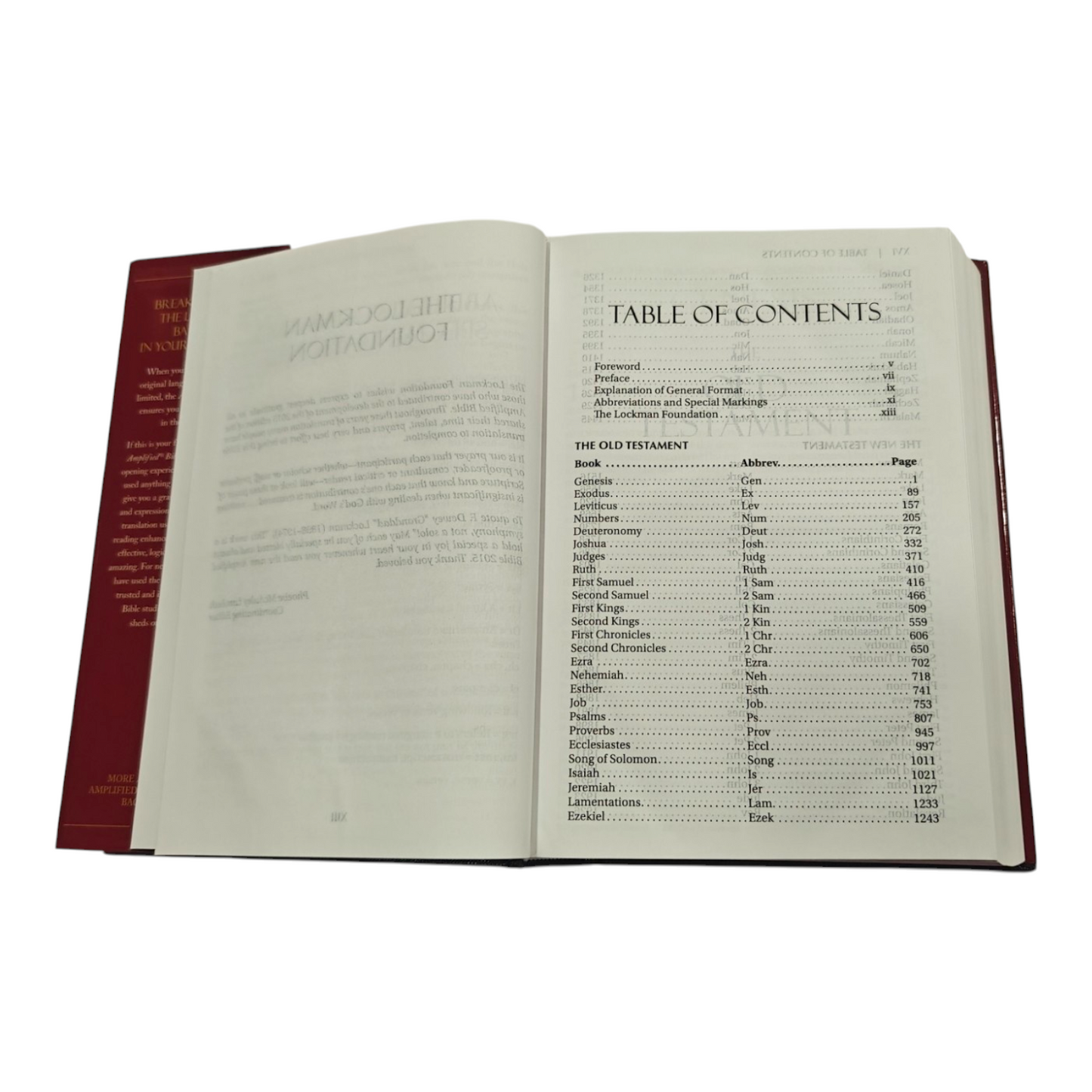 Amplified Bible (AMP) Large Print Brown Bible for Study and Devotion