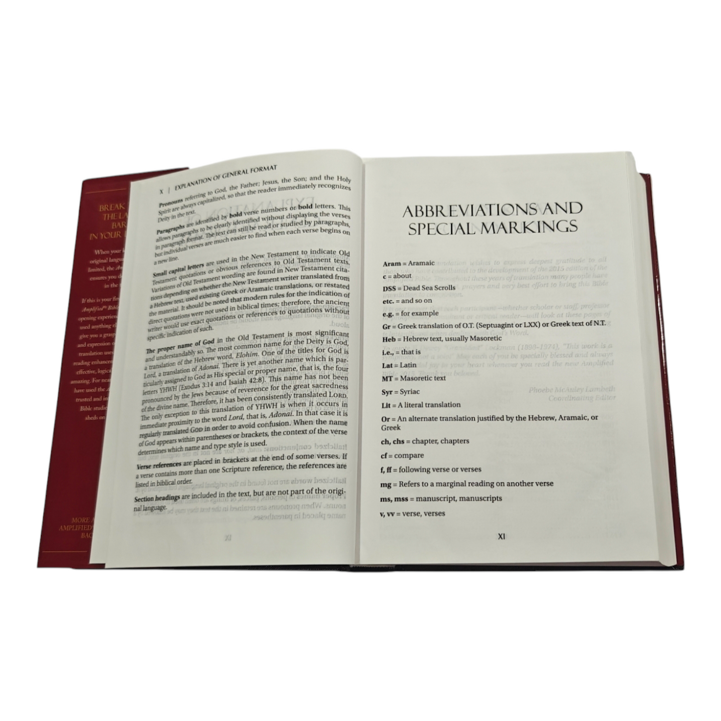 Amplified Bible (AMP) Large Print Brown Bible for Study and Devotion