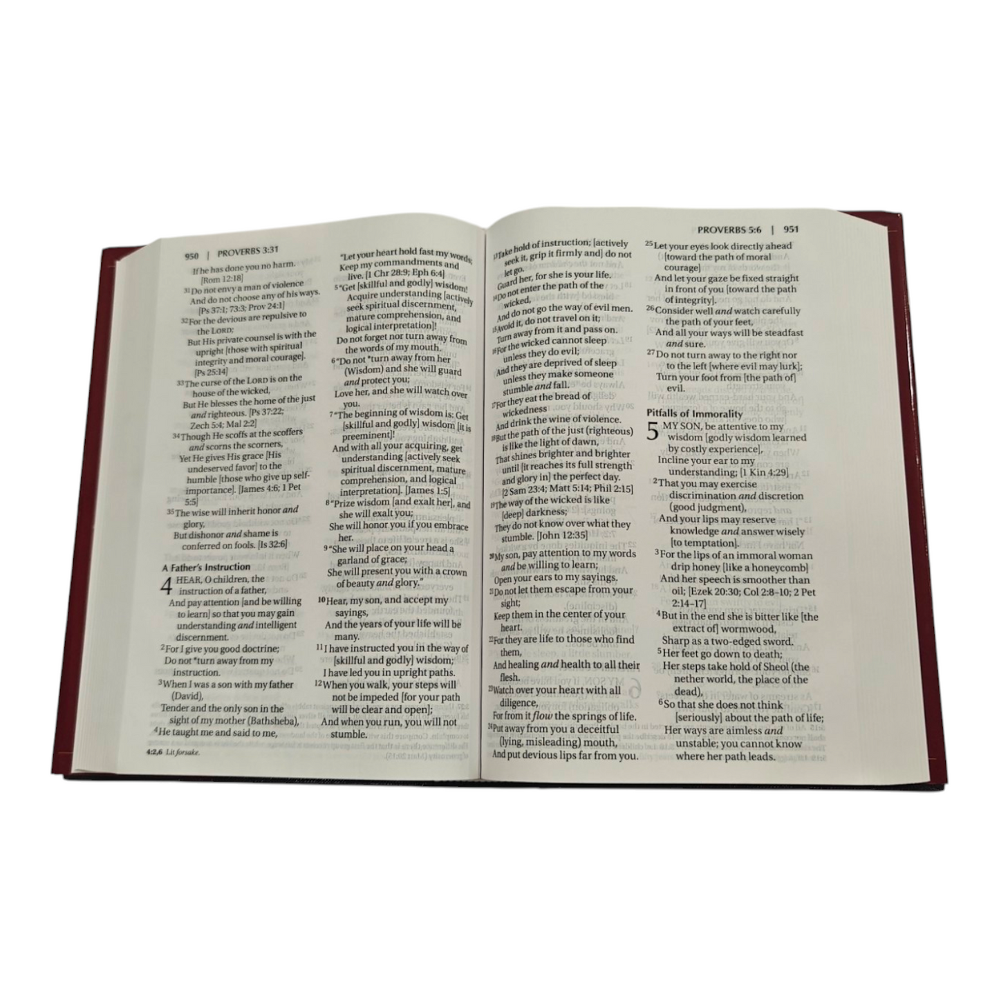 Amplified Bible (AMP) Large Print Brown Bible for Study and Devotion