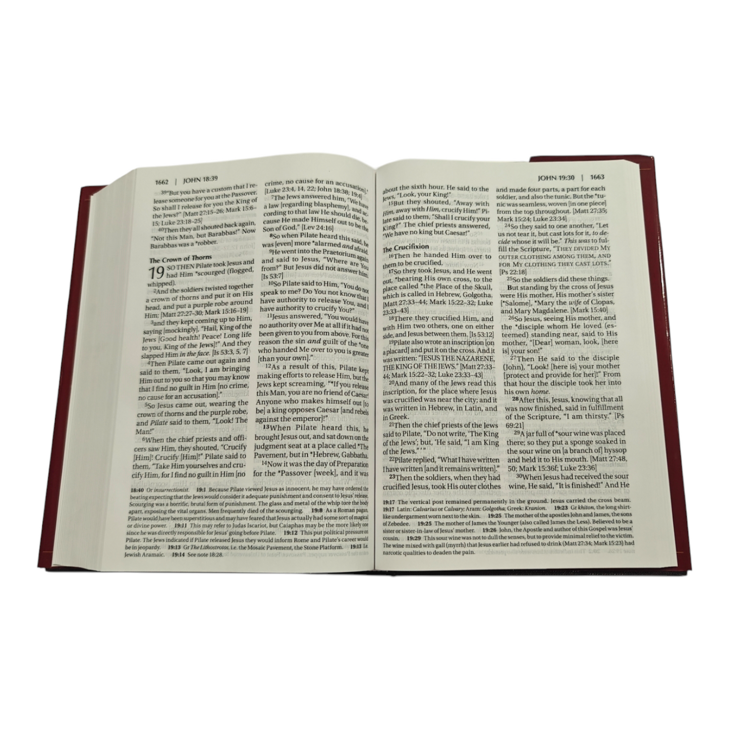 Amplified Bible (AMP) Large Print Brown Bible for Study and Devotion