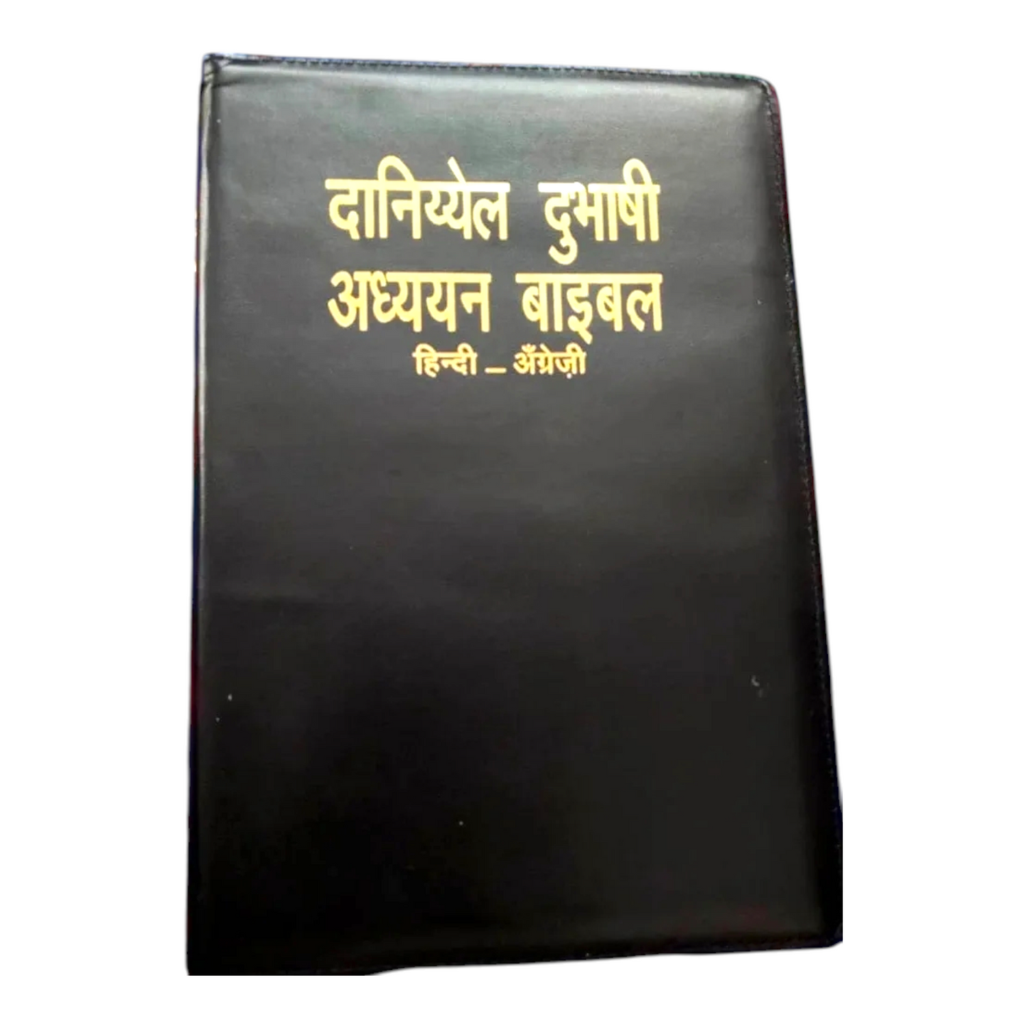 Daniel Bilingual Hindi-English Bible, Parallel Hindi & English Reference Holy Bible (All 66 Books, Side-by-Side Text)