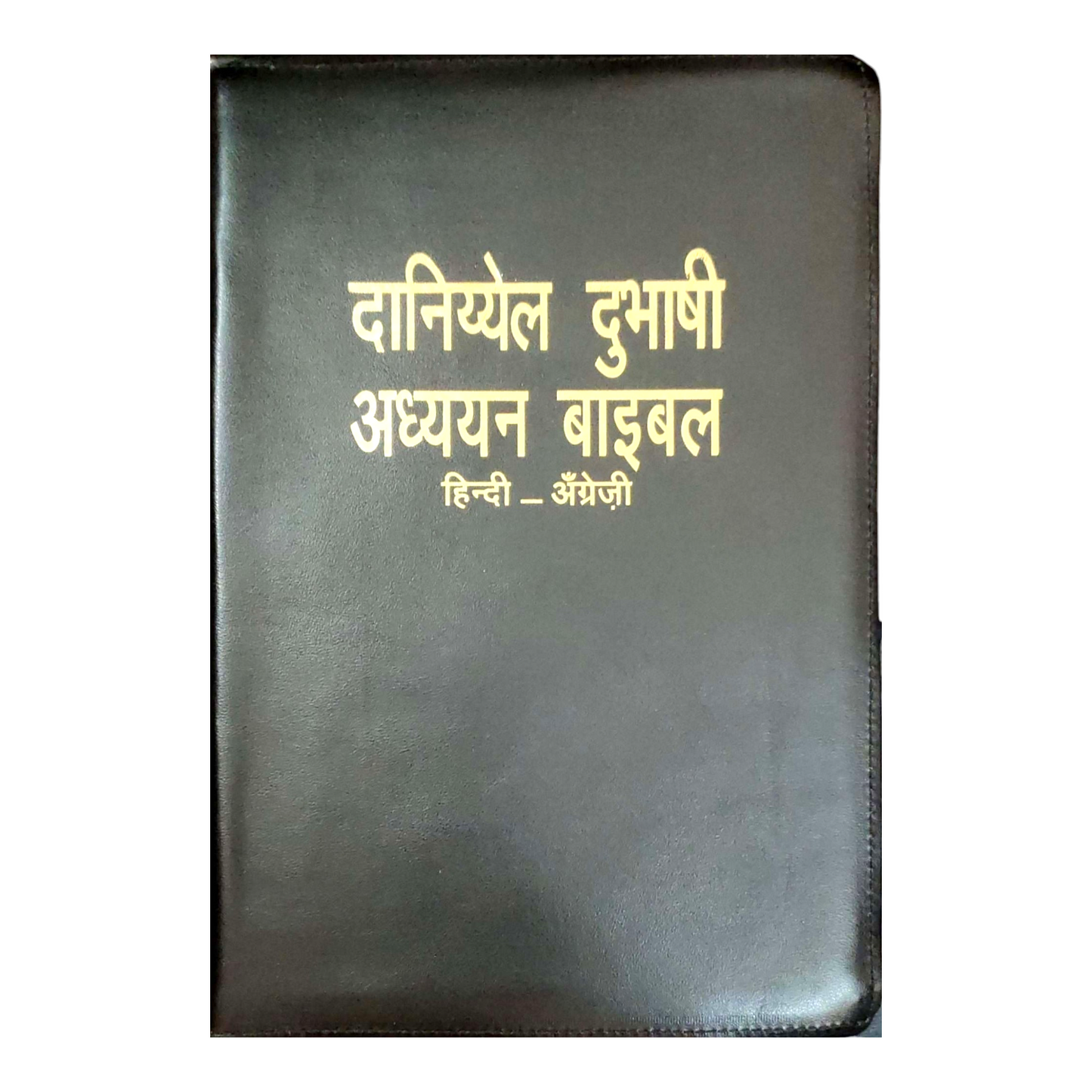 Daniel Bilingual Hindi-English Bible, Parallel Hindi & English Reference Holy Bible (All 66 Books, Side-by-Side Text)