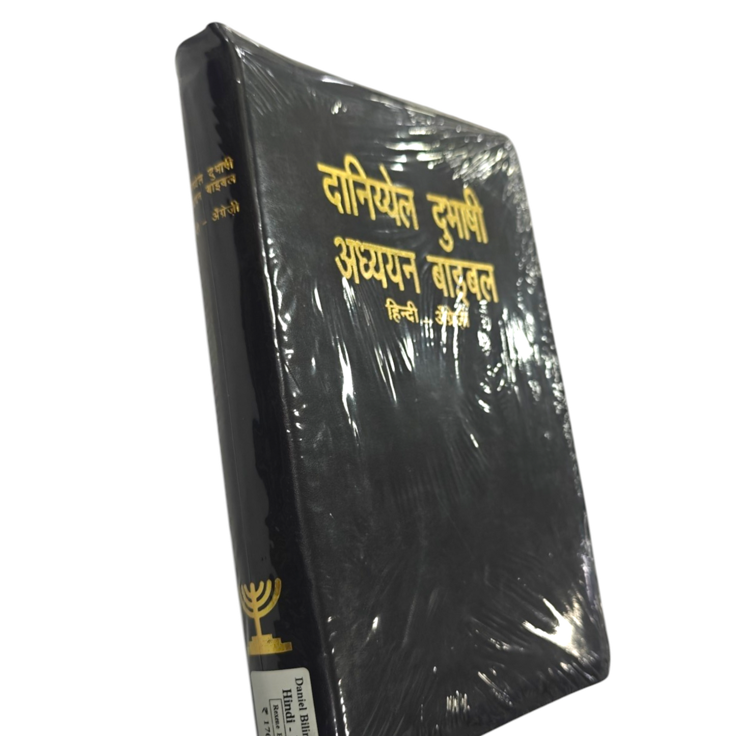 Daniel Bilingual Hindi-English Bible, Parallel Hindi & English Reference Holy Bible (All 66 Books, Side-by-Side Text)