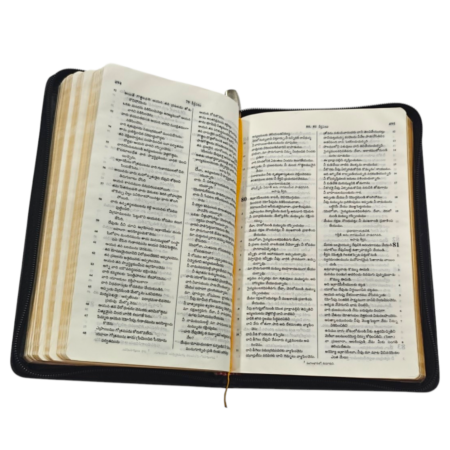 Telugu Holy Bible with Golden Zip, Leather-Bound Telugu Bible with Gold Edges, Thumb Index & Zipper (Old & New Testament)
