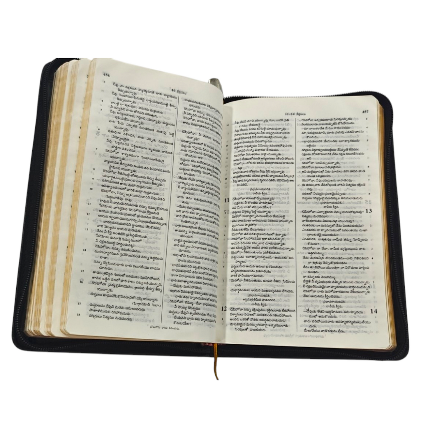 Telugu Holy Bible with Golden Zip, Leather-Bound Telugu Bible with Gold Edges, Thumb Index & Zipper (Old & New Testament)