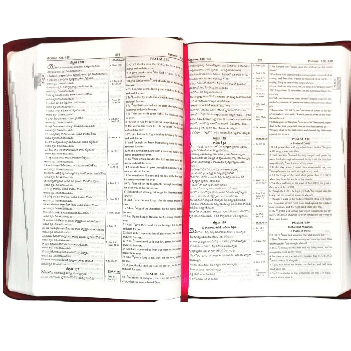 Telugu-English Parallel Bilingual Study Bible, Maroon Zip Cover, KJV Telugu & English Side-by-Side with Center References, Book Introductions & Ribbon Marker