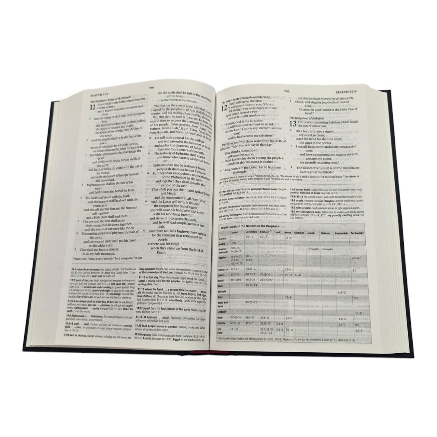 ESV Concise Study Bible, 12,000+ Study Notes, 150+ Maps & Charts, Book Introductions, Compact Portable Study Bible (English Standard Version)