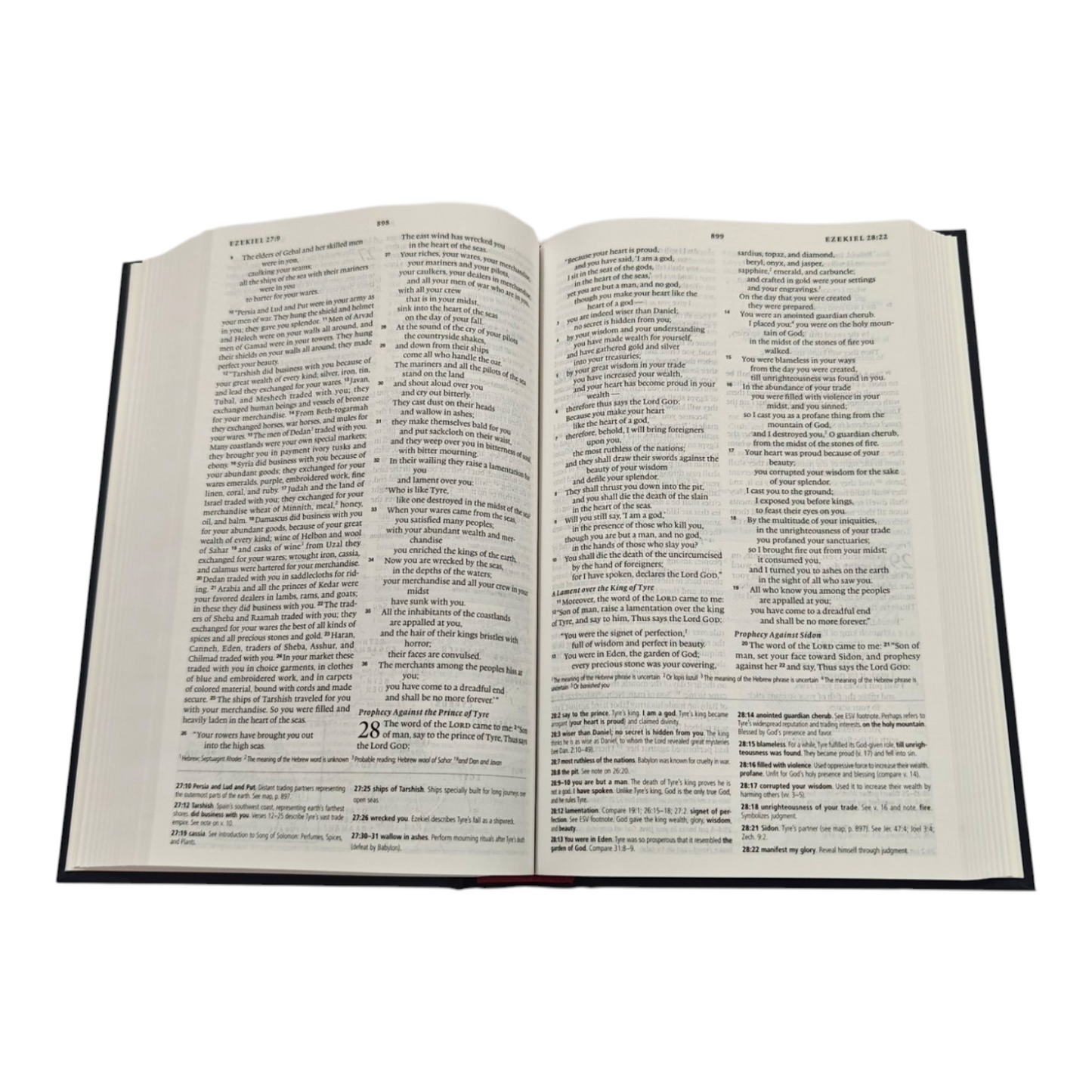 ESV Concise Study Bible, 12,000+ Study Notes, 150+ Maps & Charts, Book Introductions, Compact Portable Study Bible (English Standard Version)