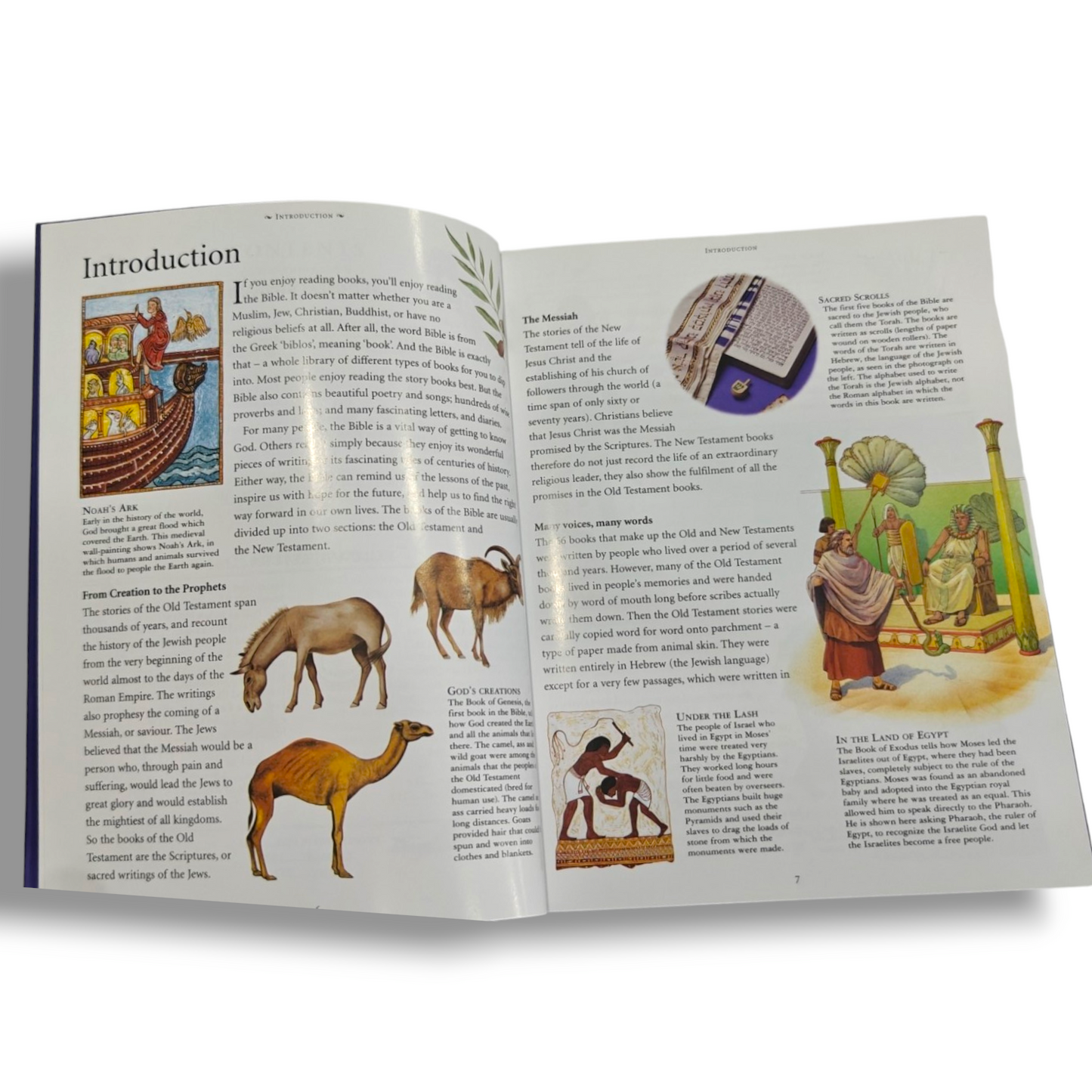 Children's Old Testament Illustrated Bible – Illustrated Bible Story Book for Kids | ISBN 9781782142171