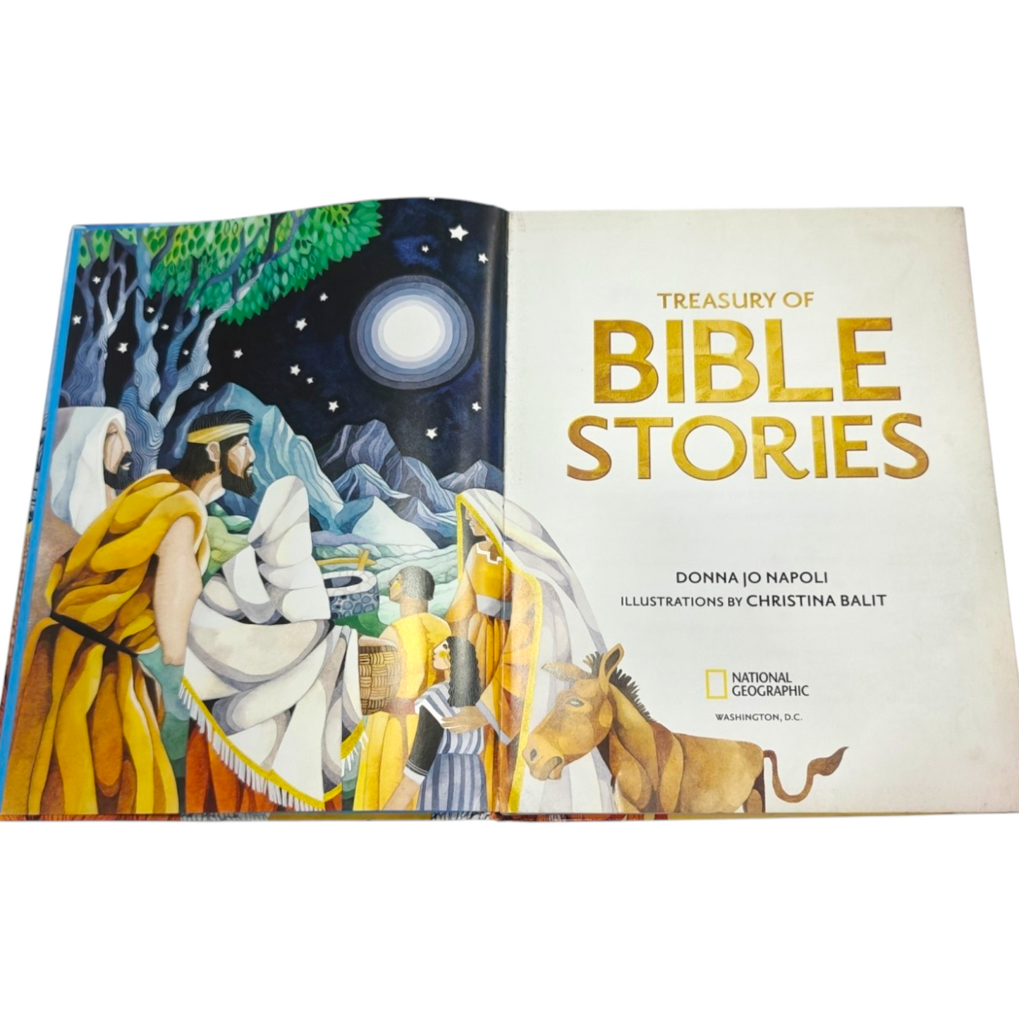 Treasury of Bible Stories – Christian Bible Story Collection | ISBN 9781426335389