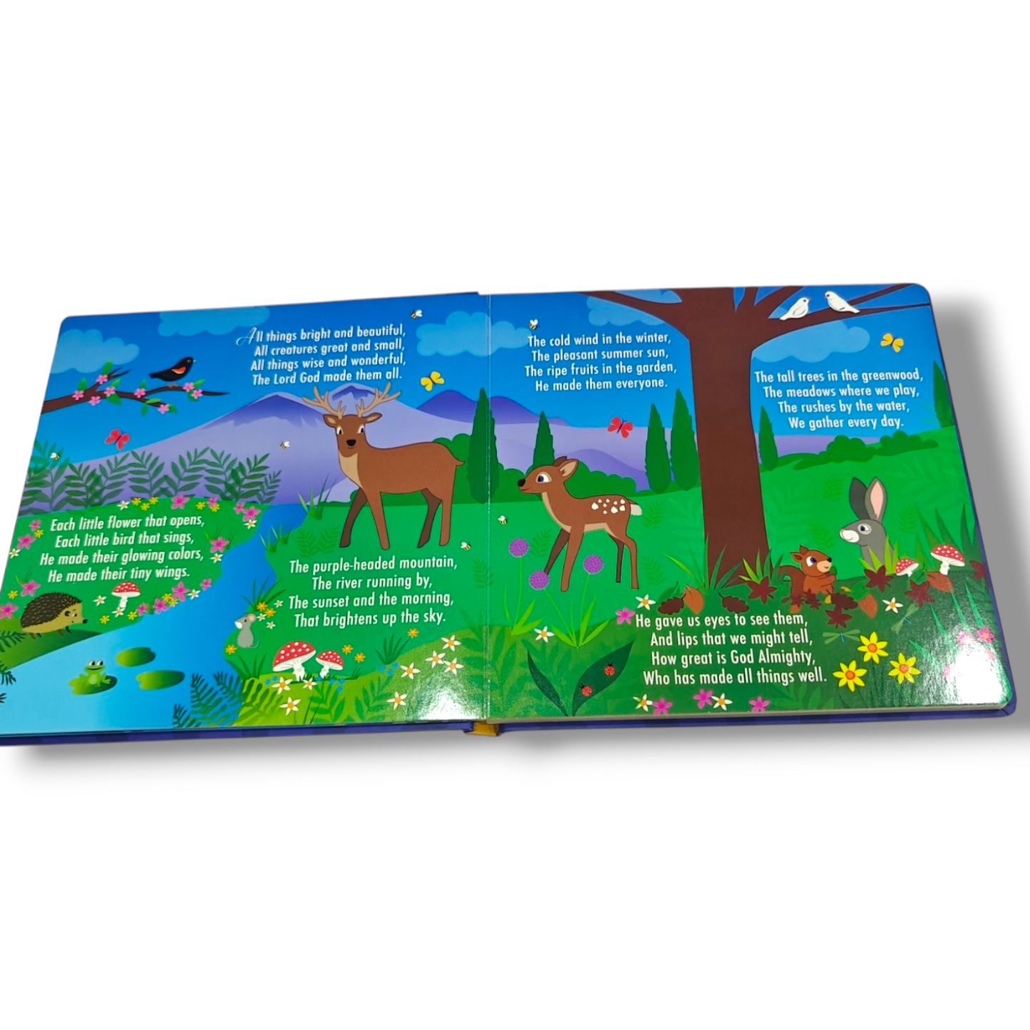 My First Bible Stories – Children's Bible Story Book | ISBN 9781648333521