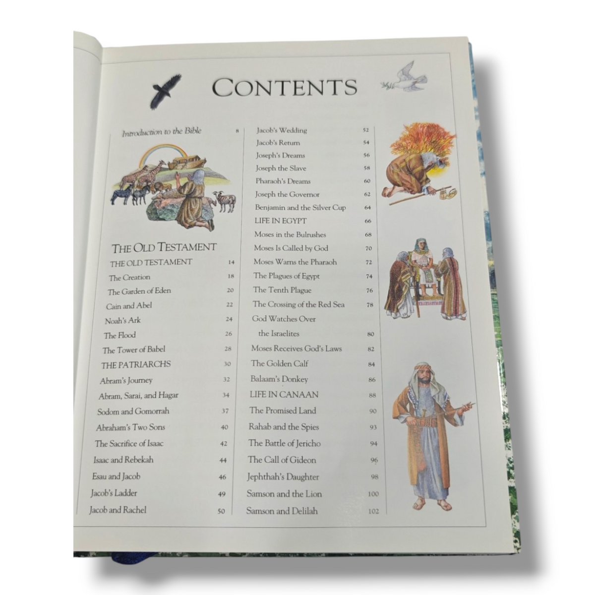 The Children's Illustrated Bible – Illustrated Bible for Children | ISBN 9780756602611