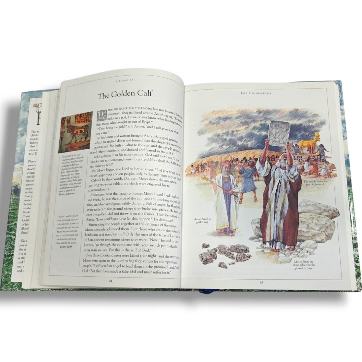 The Children's Illustrated Bible – Illustrated Bible for Children | ISBN 9780756602611
