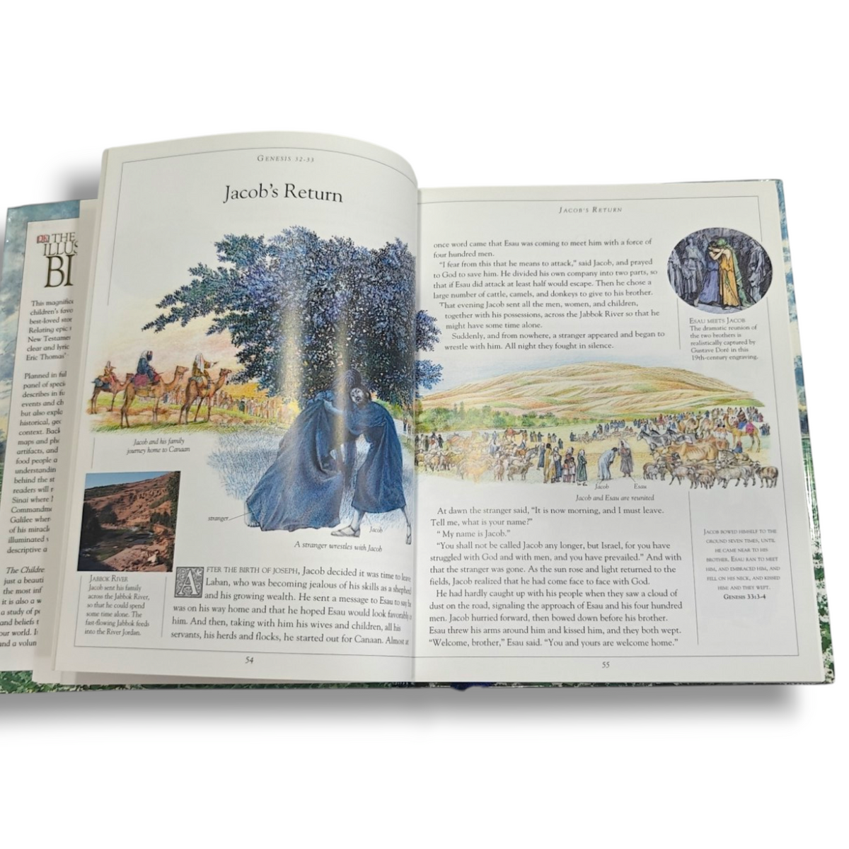 The Children's Illustrated Bible – Illustrated Bible for Children | ISBN 9780756602611
