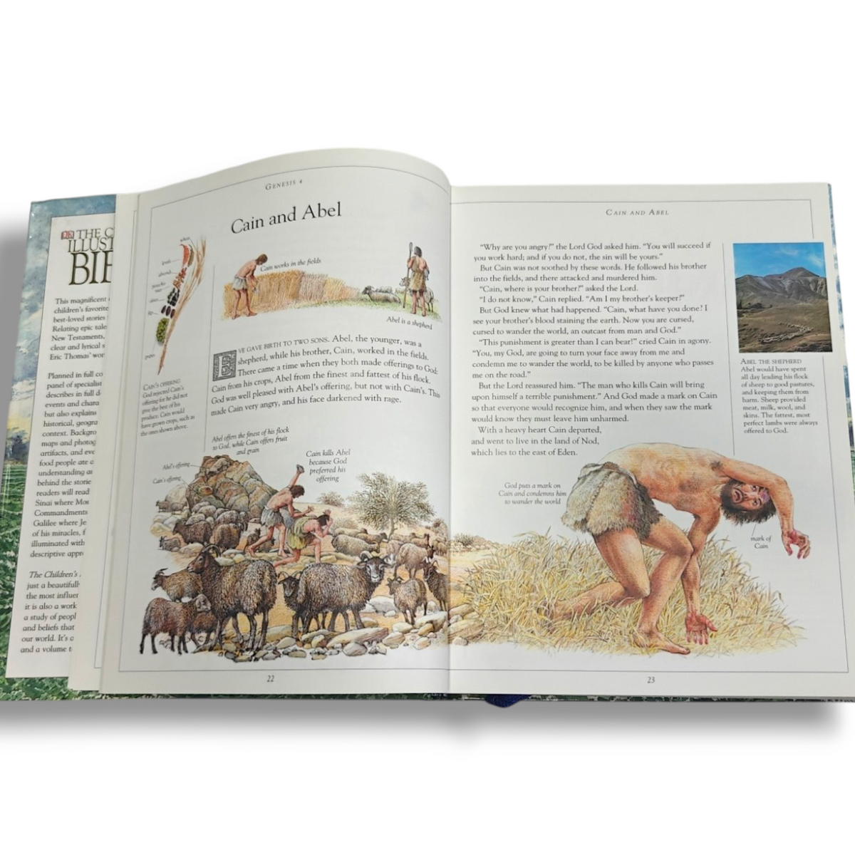 The Children's Illustrated Bible – Illustrated Bible for Children | ISBN 9780756602611