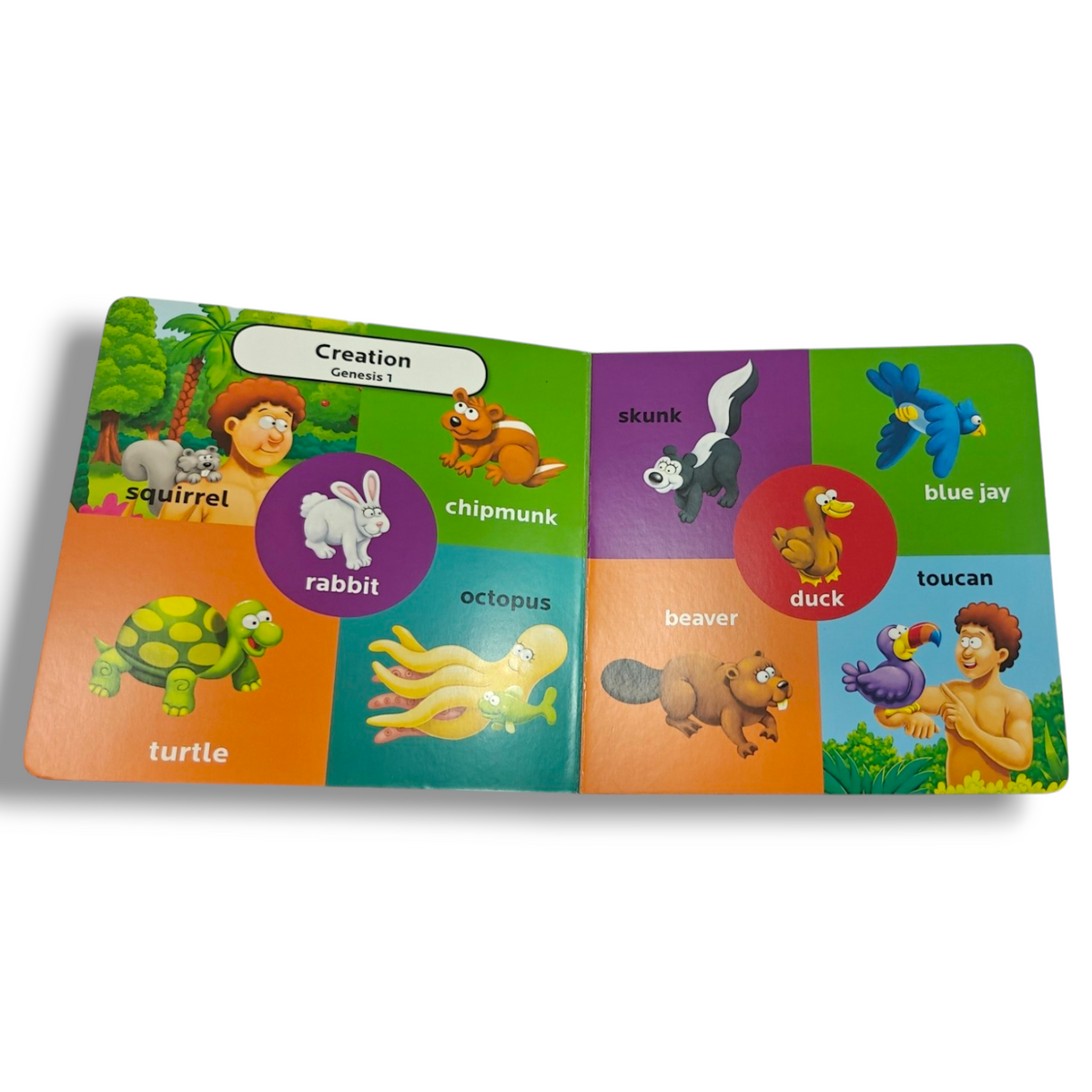 The Beginner's Bible First 100 Animal Words – Children's Bible Animal Word Book | ISBN 9780310770633