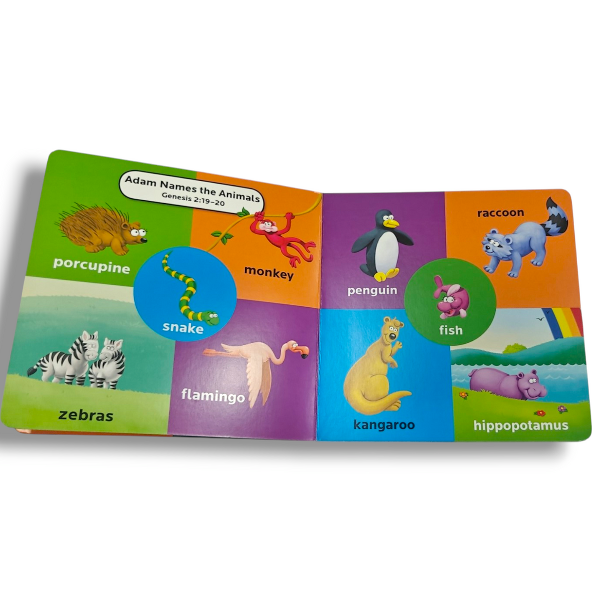 The Beginner's Bible First 100 Animal Words – Children's Bible Animal Word Book | ISBN 9780310770633