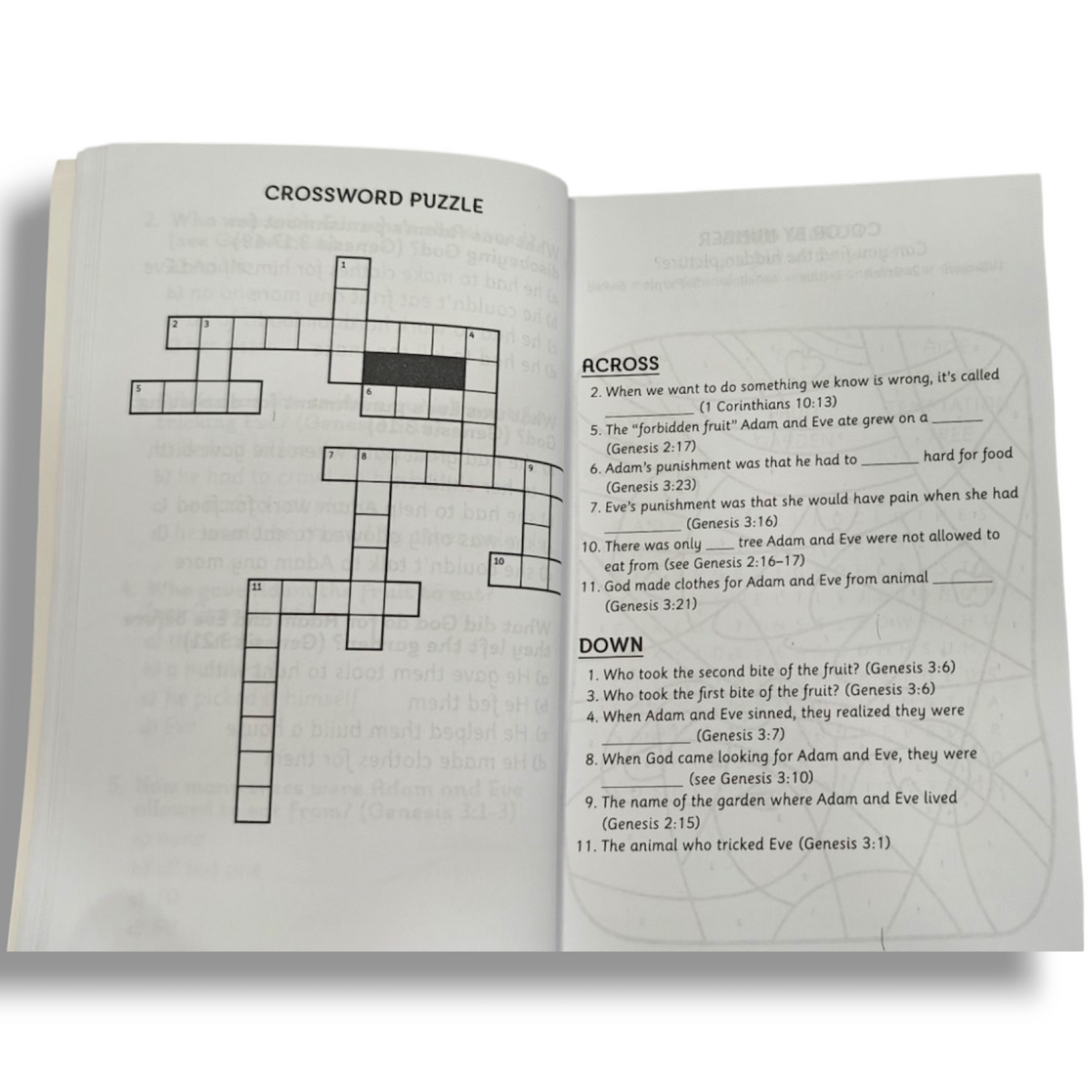 Our Daily Bread for Kids Bible Quizzes & Games by Crystal Bowman & Teri McKinley | 20 Quizzes and 60 Games | ISBN 9781627076708