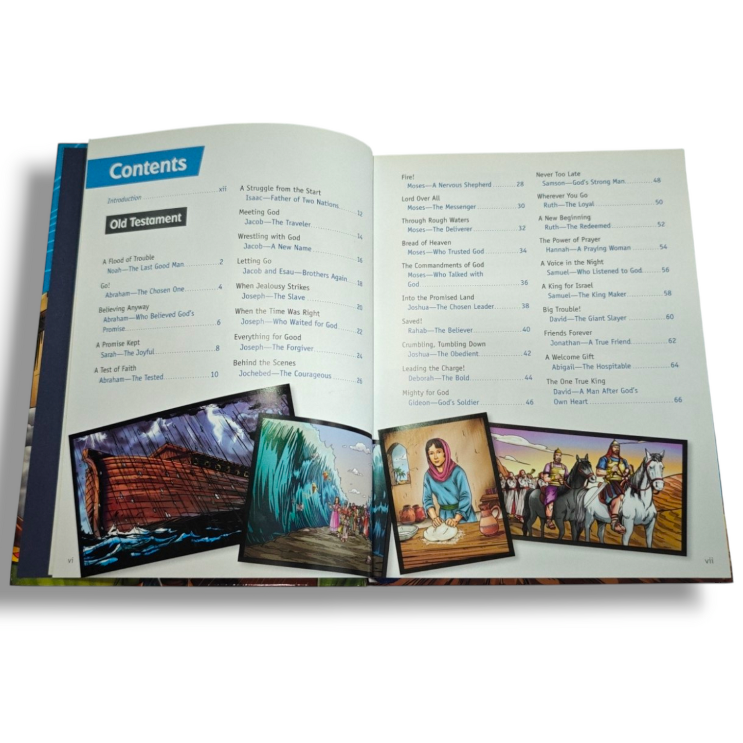 Bible Force – Christian Book | ISBN 9781400212637