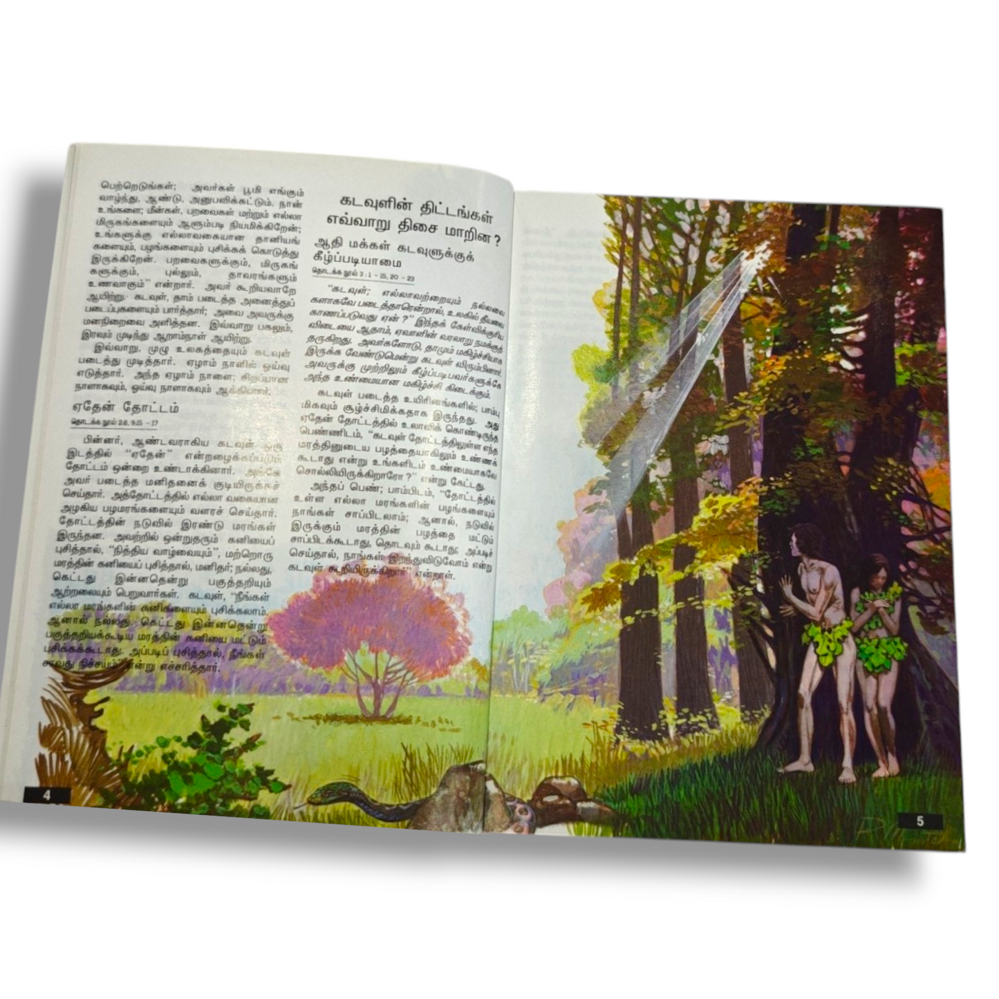 இளைஞர் விவிலியம் (Youth Bible) – தமிழ் இளைஞர்களுக்கான பரிசுத்த வேதாகமம் | Tamil Holy Bible for Youth