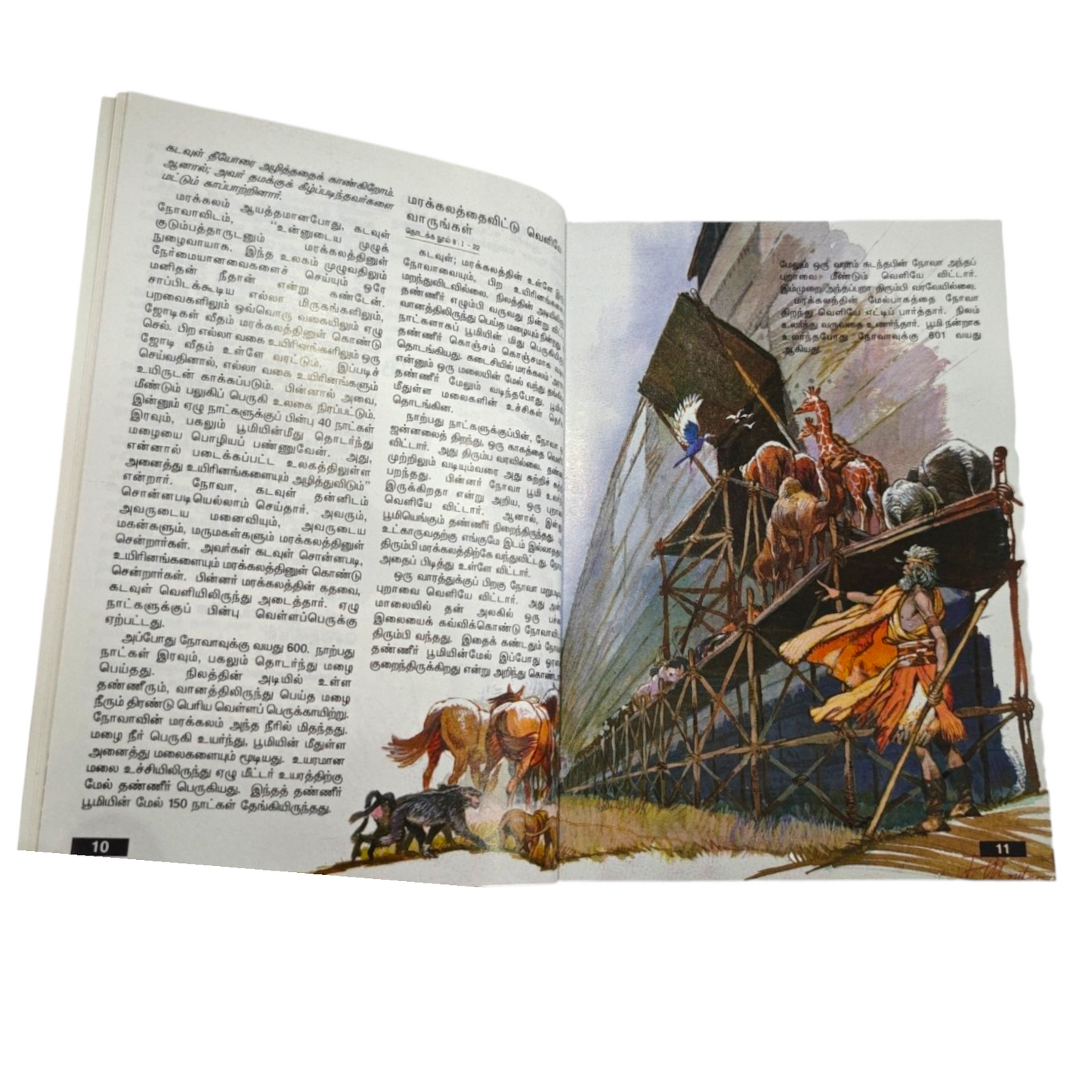 இளைஞர் விவிலியம் (Youth Bible) – தமிழ் இளைஞர்களுக்கான பரிசுத்த வேதாகமம் | Tamil Holy Bible for Youth
