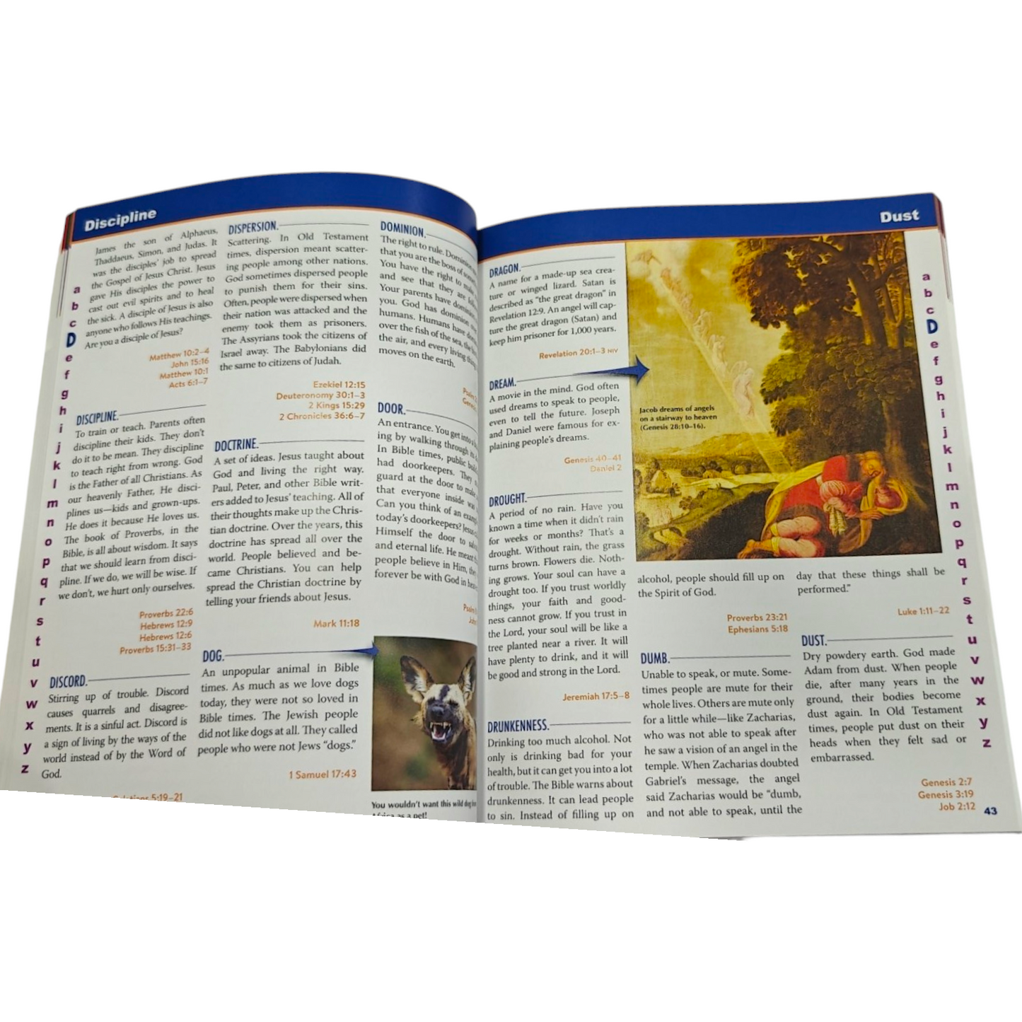 1 Minute Bible Guide – Quick Bible Guide | ISBN 9781636097800