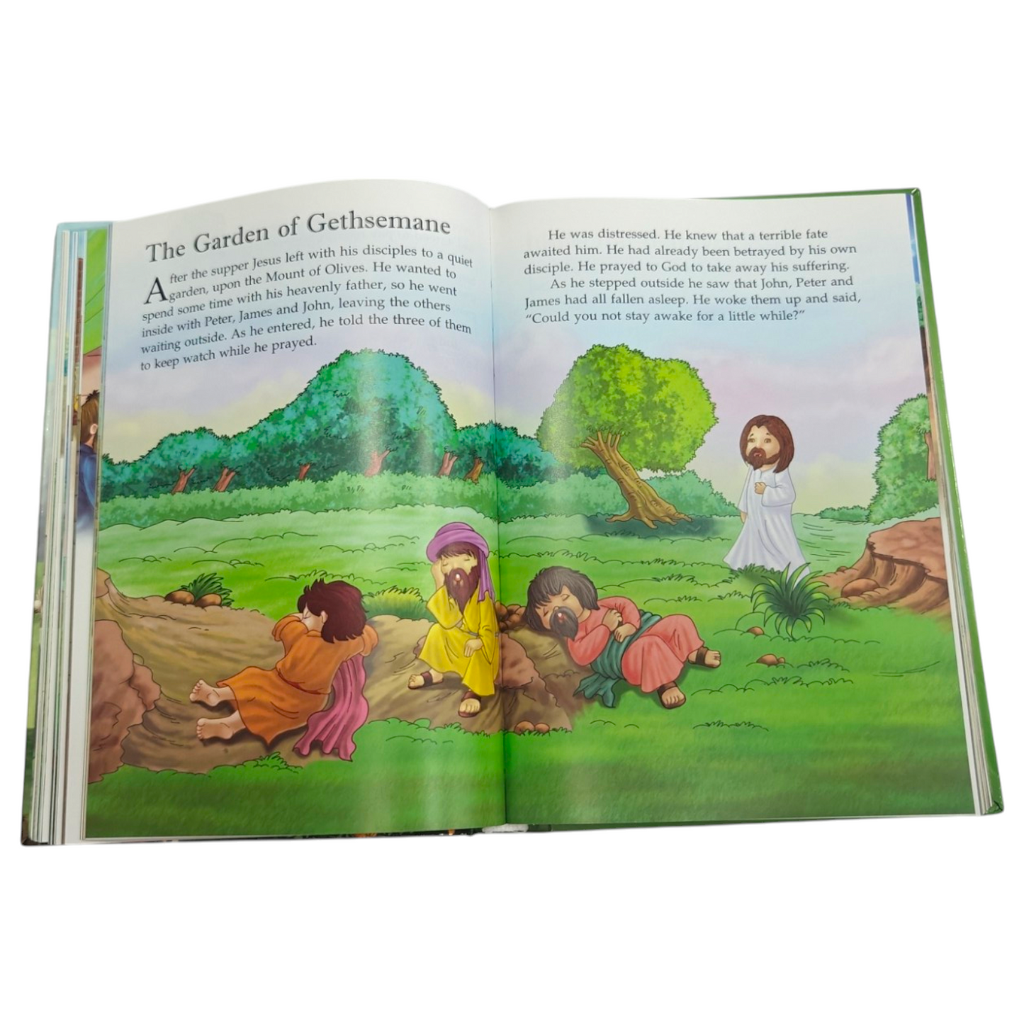 100 Bible Stories for Children – Children’s Bible Story Collection | ISBN 9788180221439