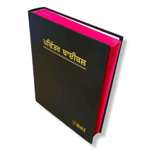 The Holy Pulpit Bible In Punjabi