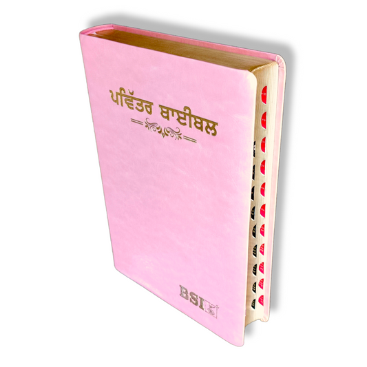 Punjabi Large Printed Bible In Pink Color Bound