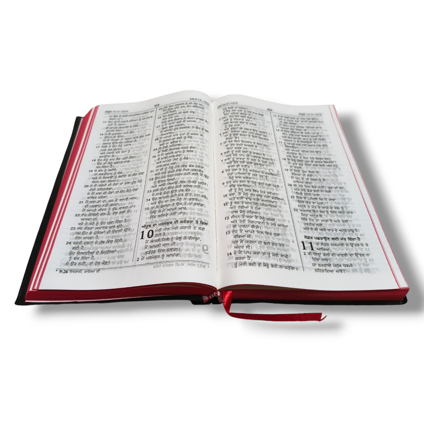 Punjabi Bible | The Holy Bible | Normal Size | Medium Size Bible | Red Edge Bible | New Edition