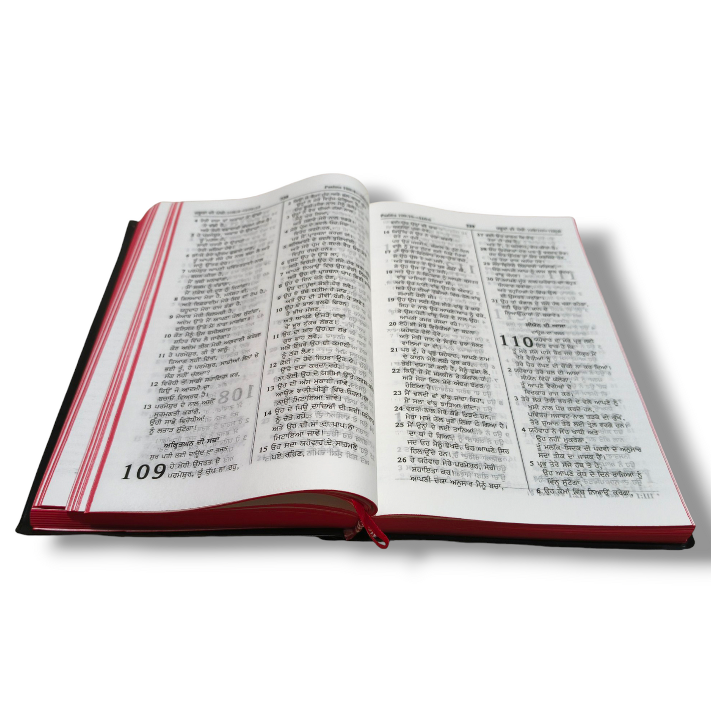 Punjabi Bible | The Holy Bible | Normal Size | Medium Size Bible | Red Edge Bible | New Edition