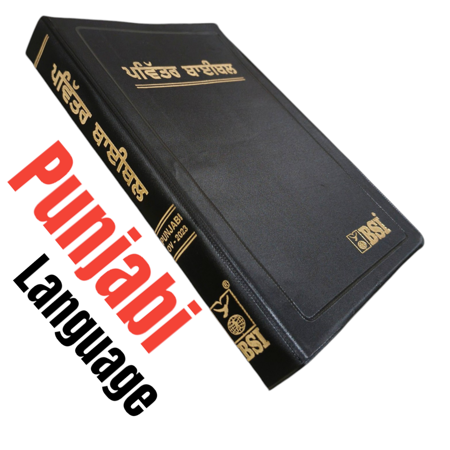 Punjabi Bible | The Holy Bible | Normal Size | Medium Size Bible | Red Edge Bible | New Edition