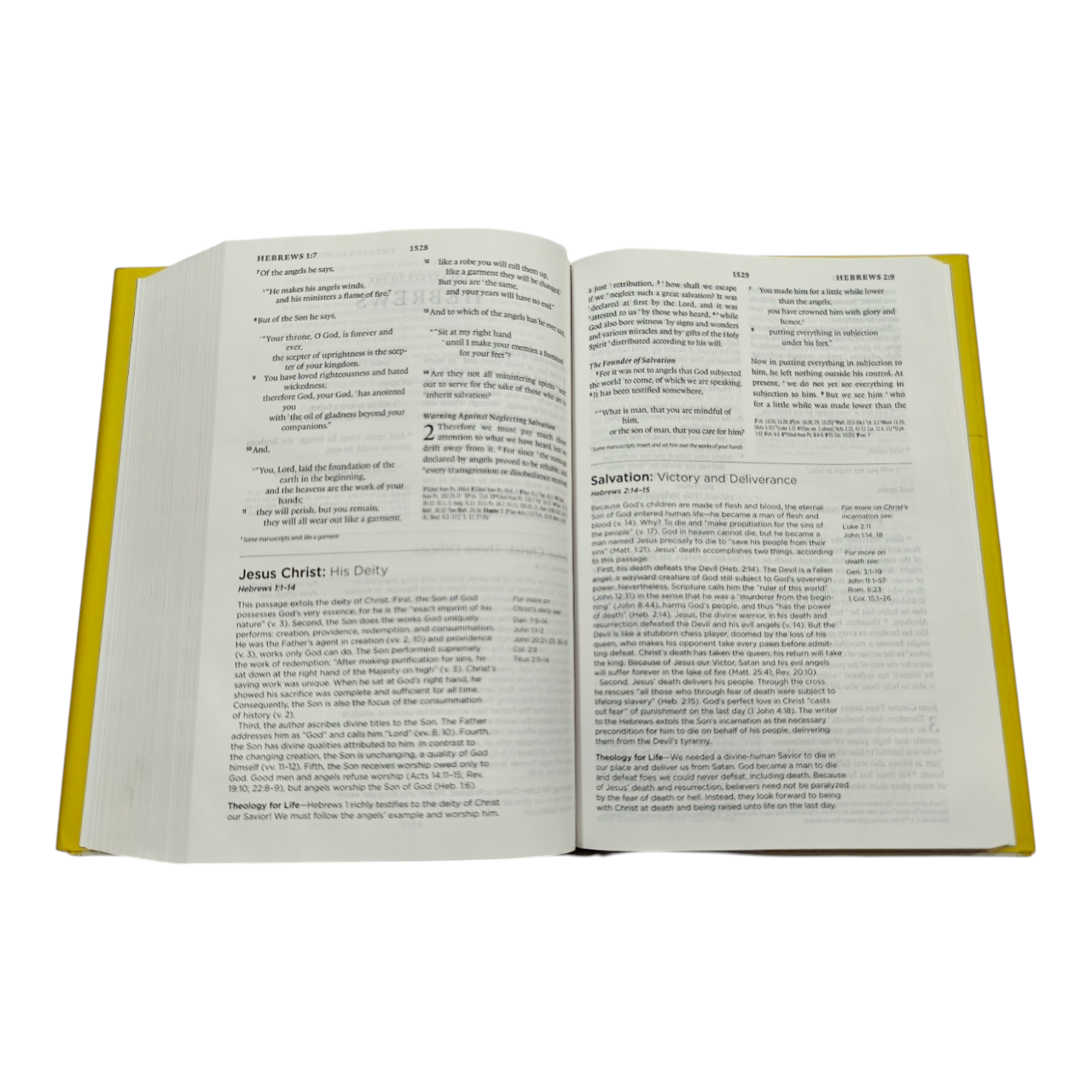 ESV Systematic Theology Study Bible, Hardcover | Understanding What the Whole Bible Teaches About Key Doctrines (ISBN 9781433553370)