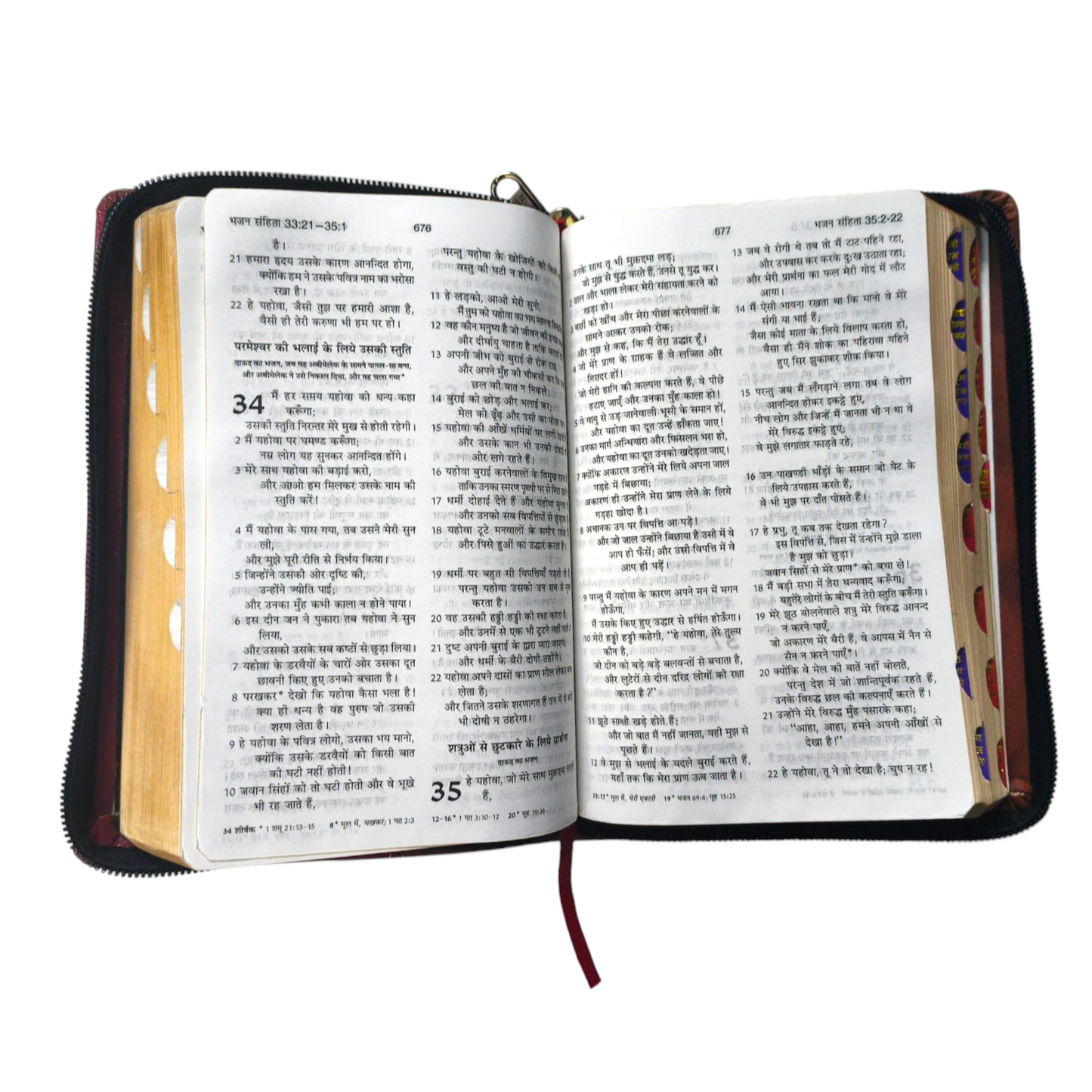 Compact Hindi Bible | With Thumb Index Edition | Indian Printed Edition | Double Color Attractive Bound | With Zip Bible | Golden Edge Bible | New Edition