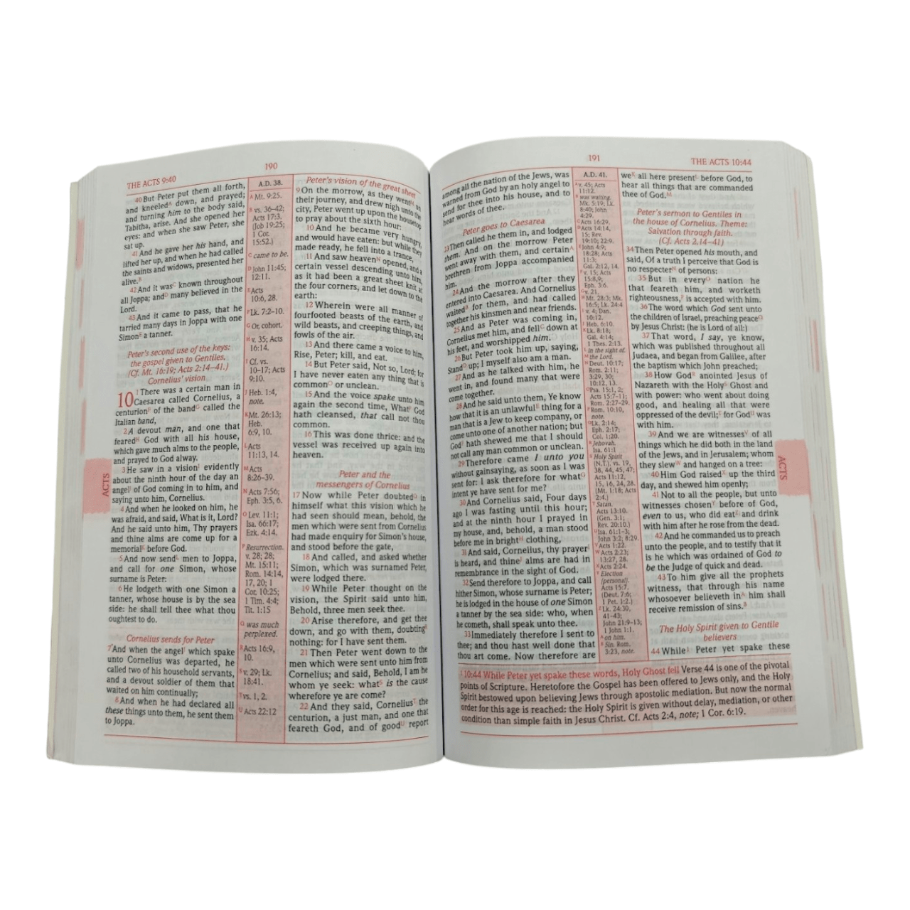 Scofield Study New Testament (Japanese Language Edition) | スコフィールド スタディ版 新約聖書 | Christian Bible with Commentary