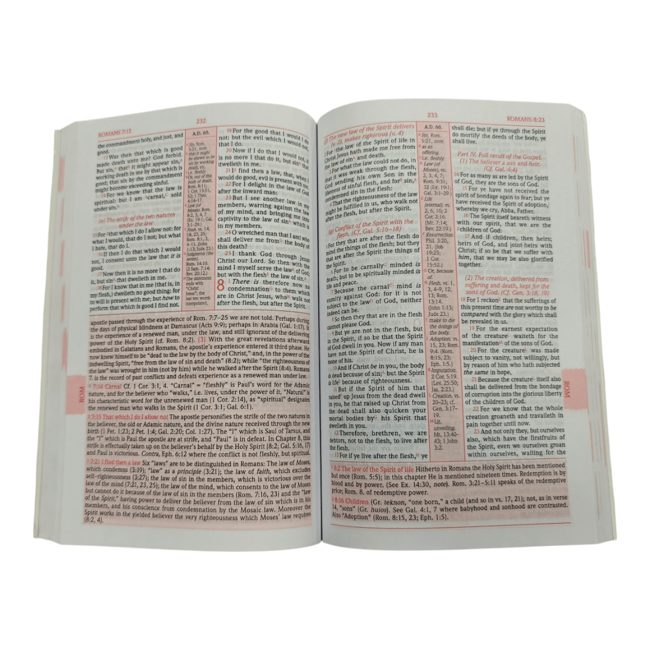 Scofield Study New Testament (Japanese Language Edition) | スコフィールド スタディ版 新約聖書 | Christian Bible with Commentary