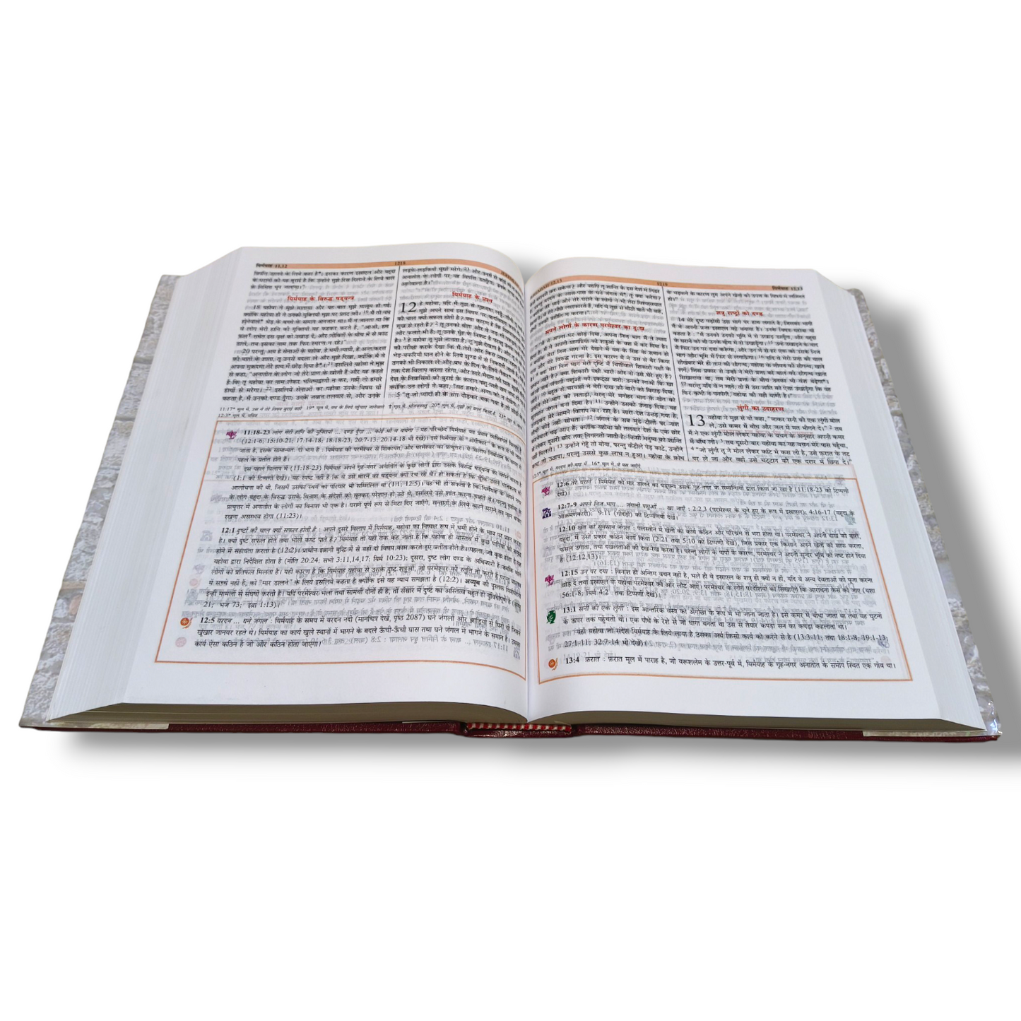 The Study Bible | Sampoorn Adhyayan Bible | Mini Dake Bible | We Can Explore the Full Bible | Hard Bound | New Edition