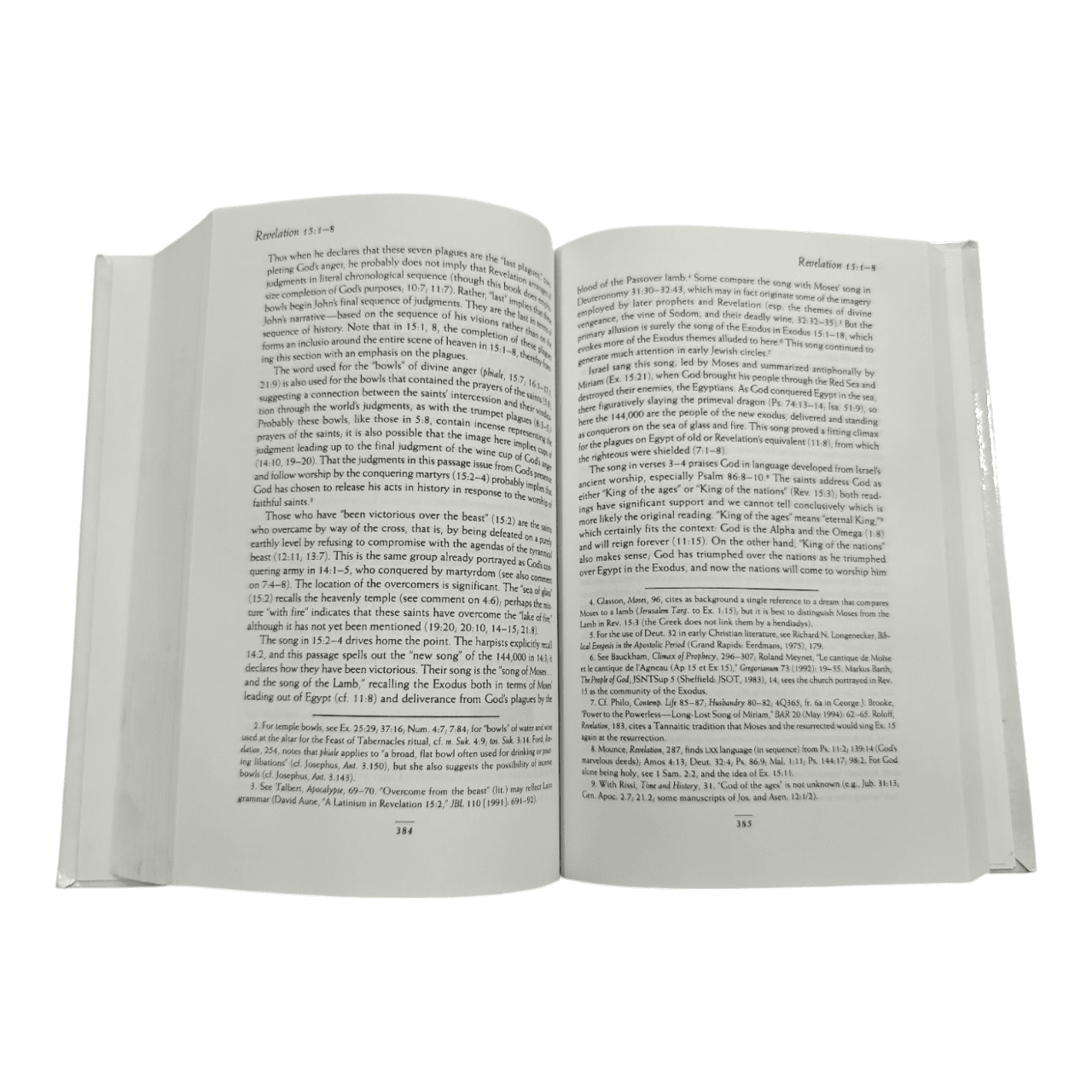 The NIV Application Commentary – Explore Biblical Meaning and Today’s Relevance (ISBN: 9780310231929)