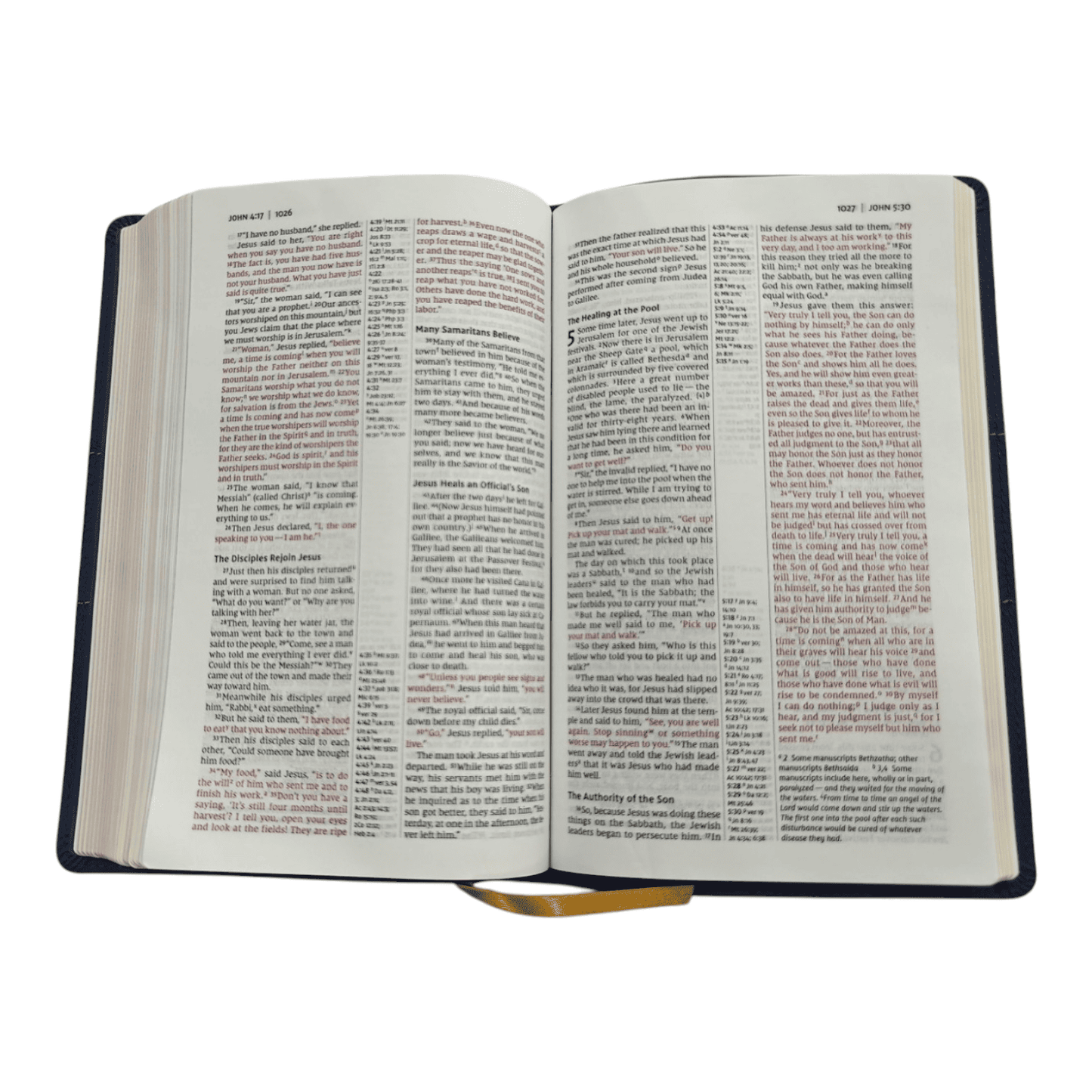 Thinline Reference Bible – Compact Portable Edition with Cross-References (ISBN: 9780310462729)