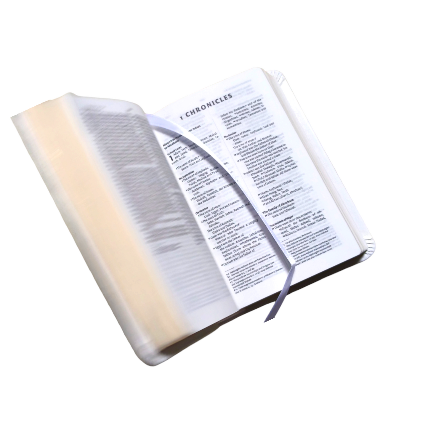 NIV Bible Slimline Bible | Red Letter In Side the Bible | Pocket Size Edition | In English | Golden Edge Bible | In Multiple Color