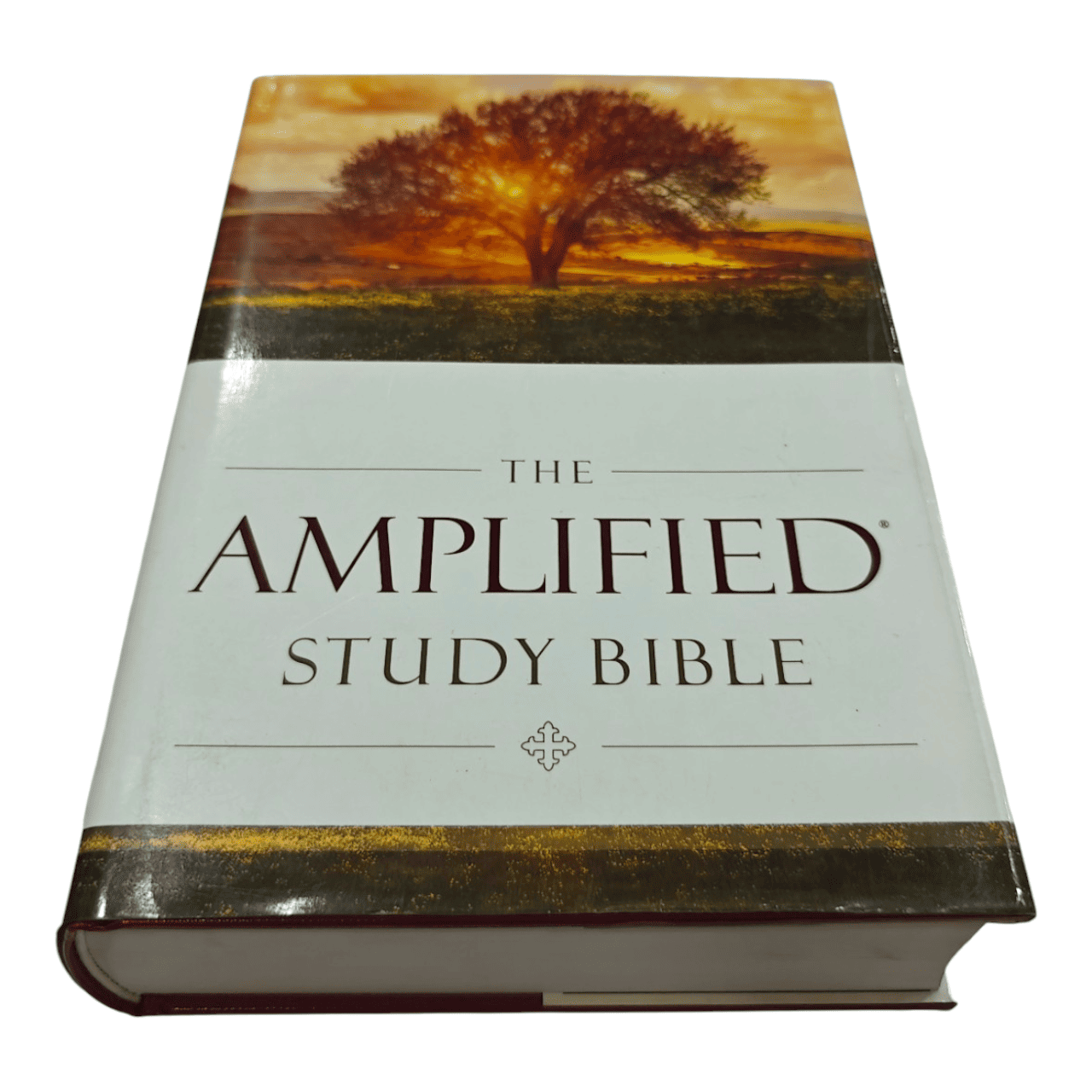 The Amplified Study Bible – Expanded Word Meanings with Study Notes & Insights (ISBN: 9780310440307)