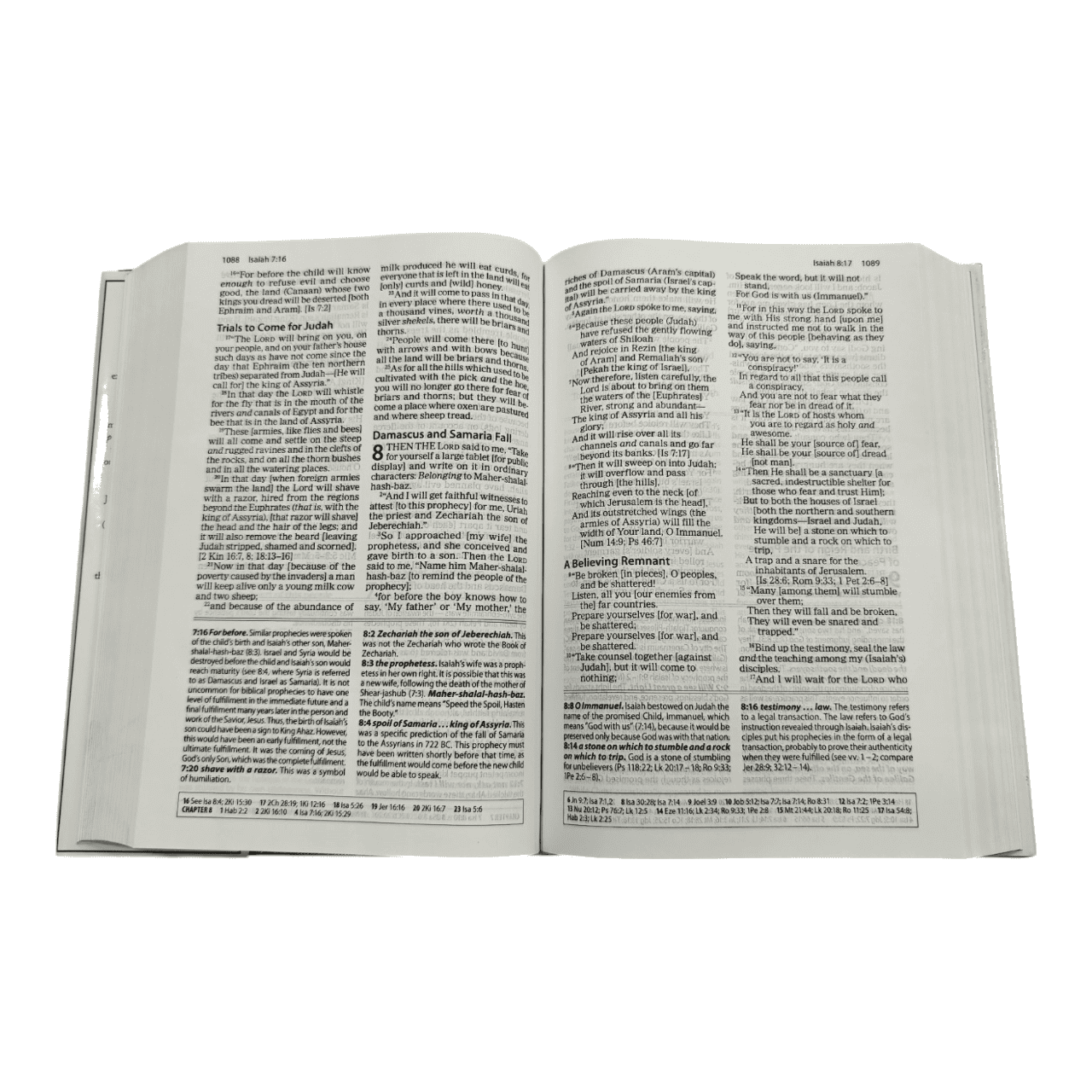 The Amplified Study Bible – Expanded Word Meanings with Study Notes & Insights (ISBN: 9780310440307)