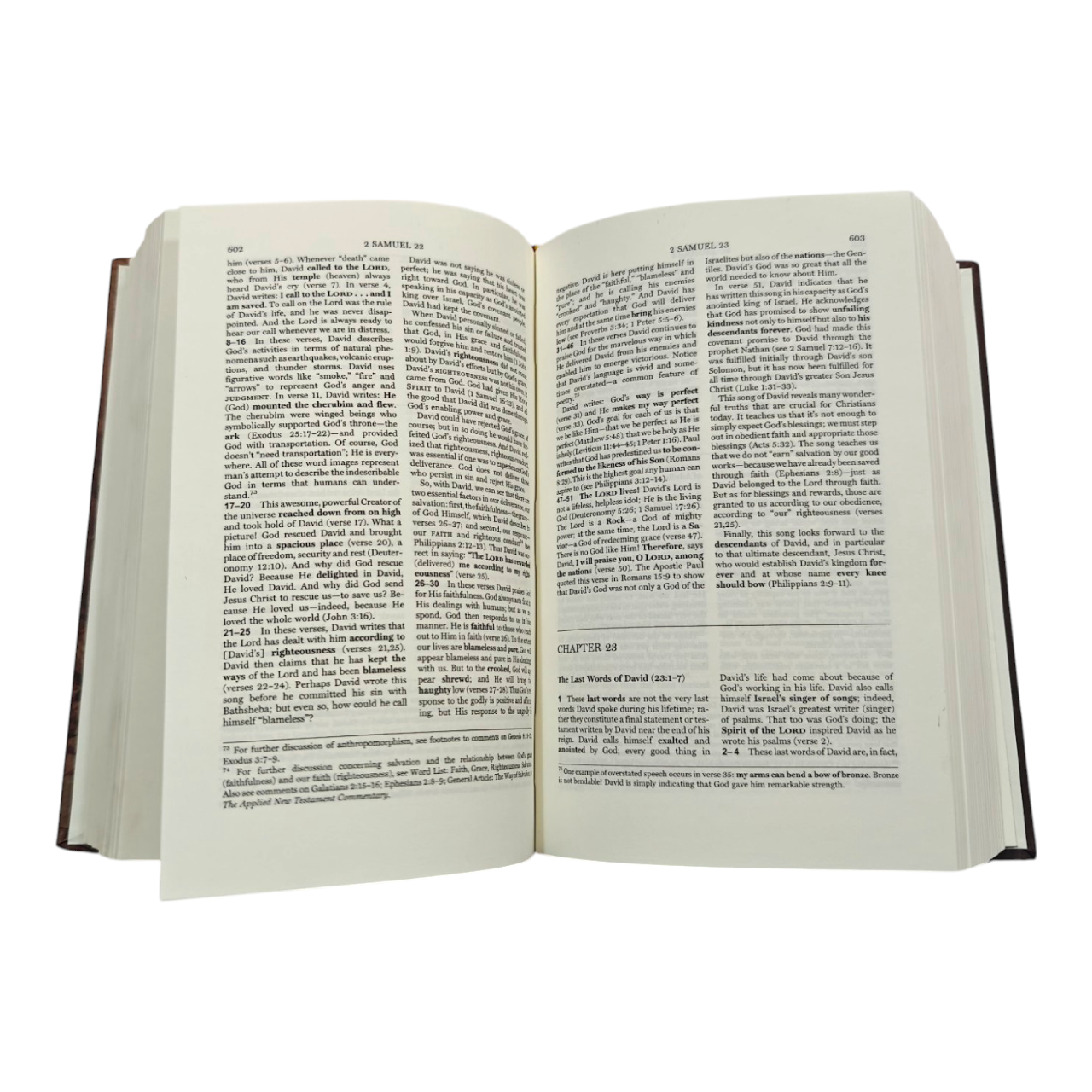 The Applied Bible Commentary – by Dr. Thomas Hale & Stephen Thorson | Practical, Verse-by-Verse Life Application for Entire Bible | Perfect for Pastors, Missionaries & Daily Devotion | Hardcover | ISBN 9789389138719