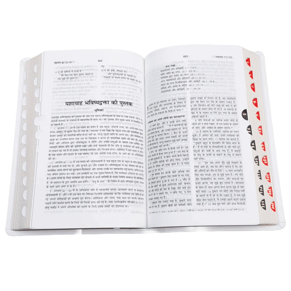BSI Hindi Bible | In Multiple Color | With Thumb Index | Golden Edge | Amity Edition | New Edition