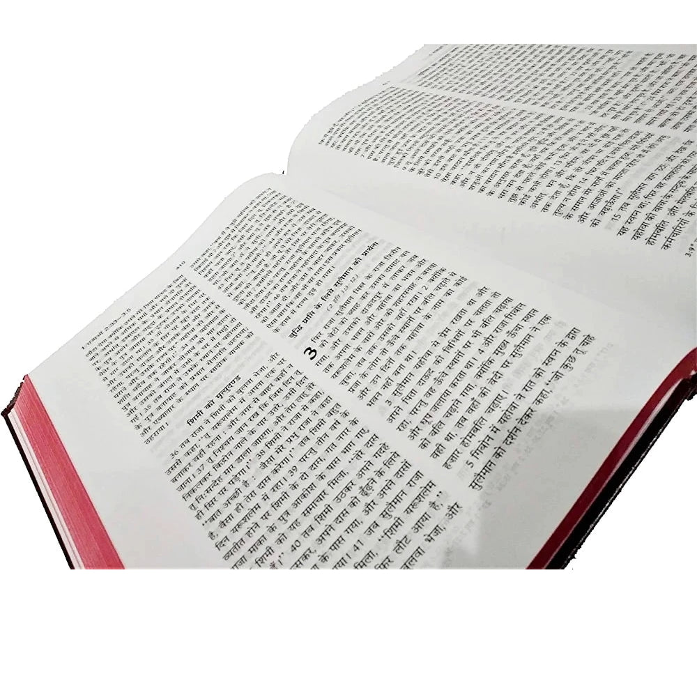 The Holy Pulpit Big Letter Bible In Hindi